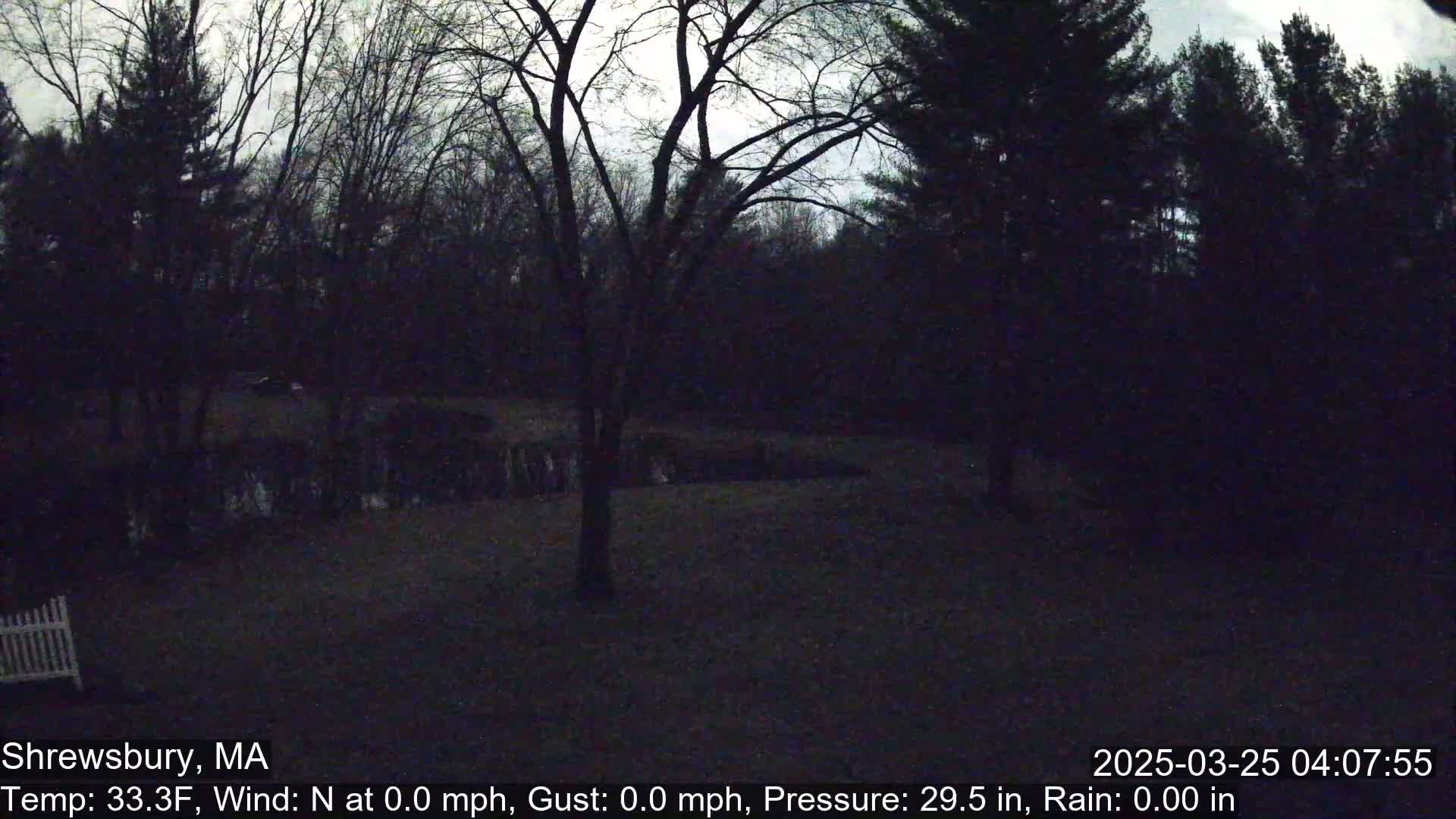 A dark, nighttime view of a backyard bordered by a treeline under an overcast sky.