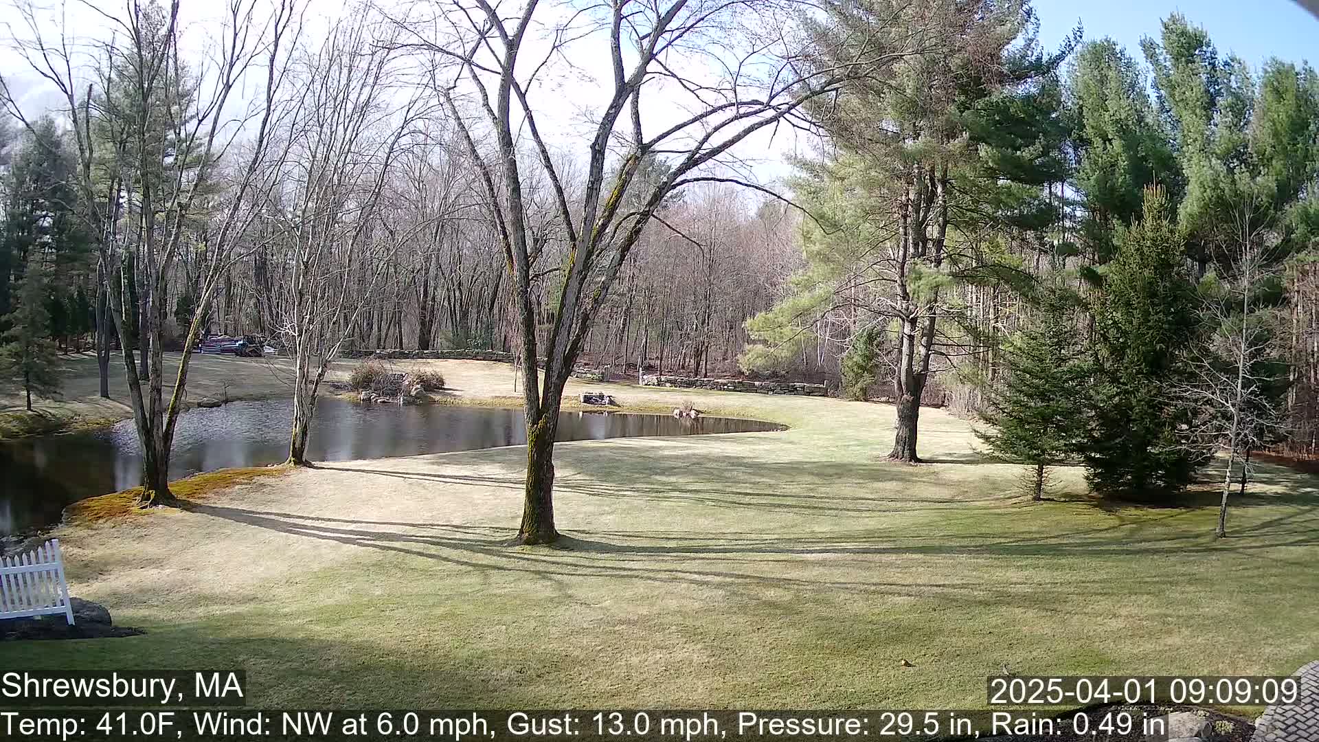 A sunny, windy day shows a grassy lawn, a winding pond, bare deciduous trees, and evergreens, with a partially visible white fence.