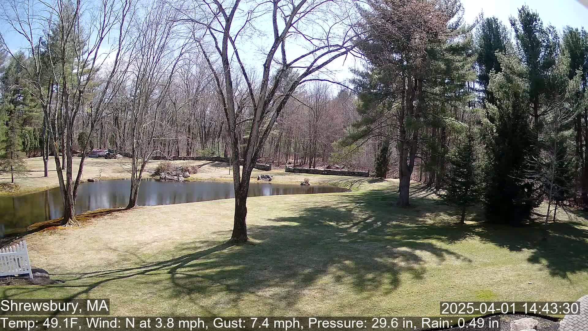 A sunny day shows a small pond surrounded by a grassy lawn and leafless trees bordering a wooded area.