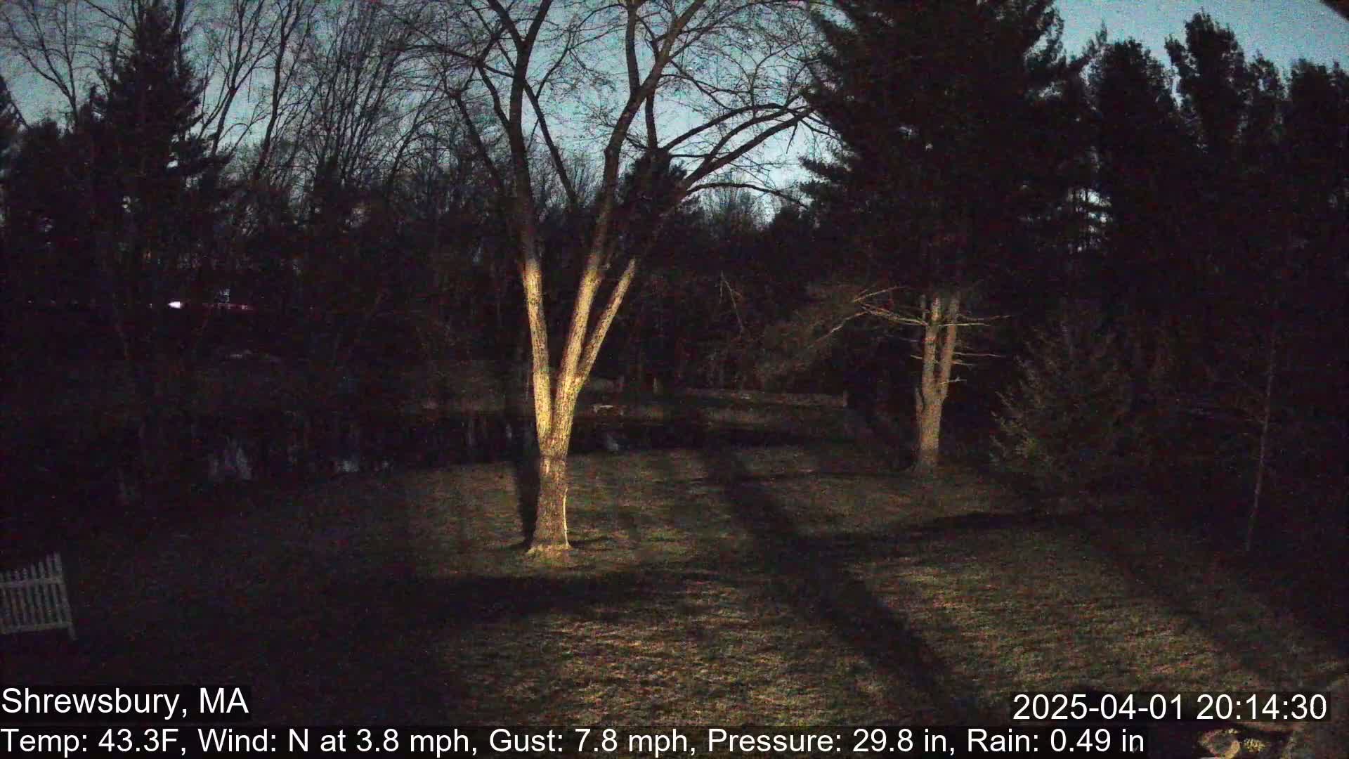 A nighttime view of a grassy area with trees and a portion of a white fence, under a dark, slightly cloudy sky with a light north wind and rain.