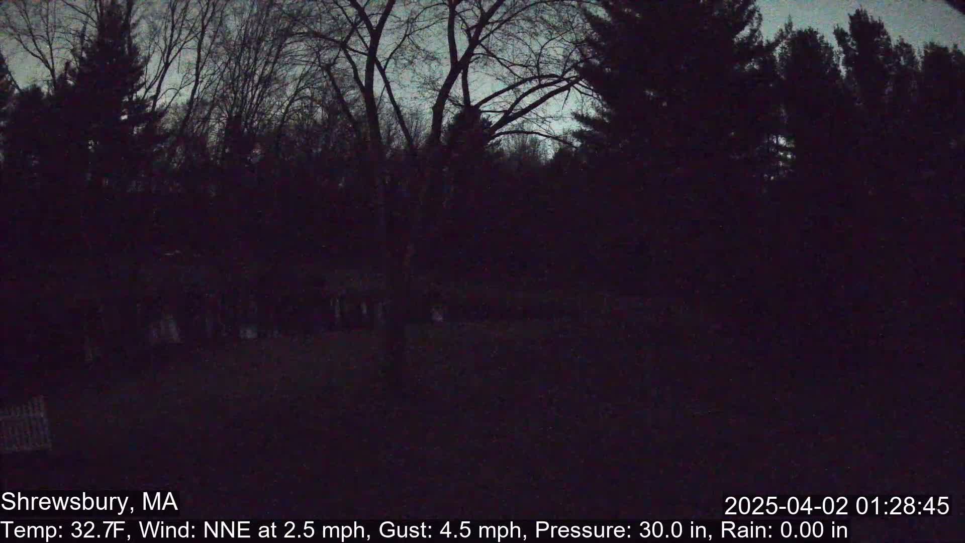 A dark, nighttime view of a wooded area with bare trees under a dusky sky, with a light wind and no rain.