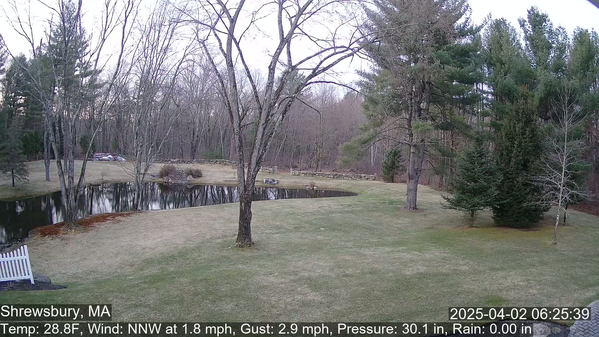 A tranquil, grassy yard with a curved pond reflecting leafless trees under a cloudy sky.
