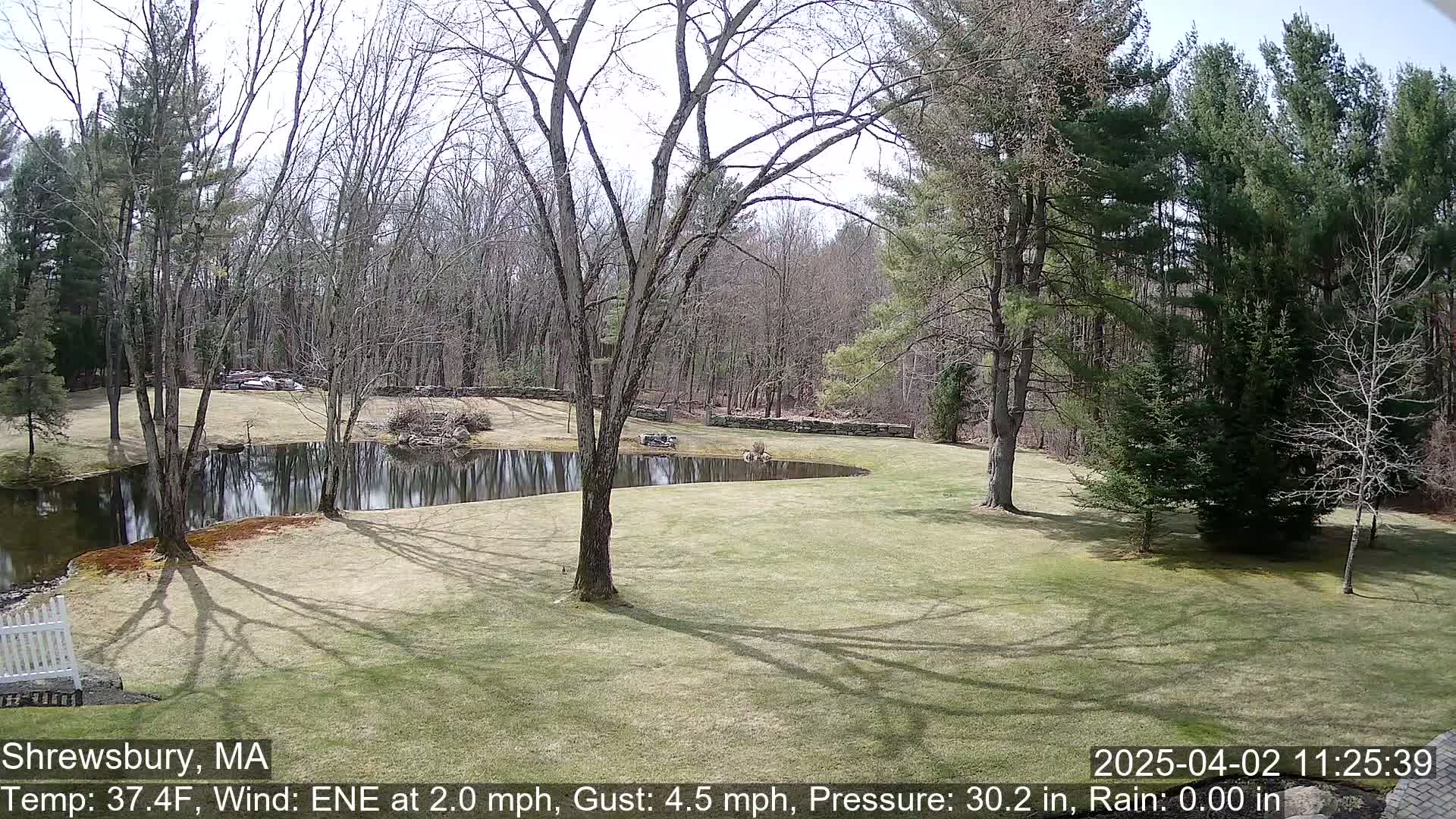 A grassy lawn surrounds a curved pond, partially shadowed by leafless trees under a partly sunny sky.