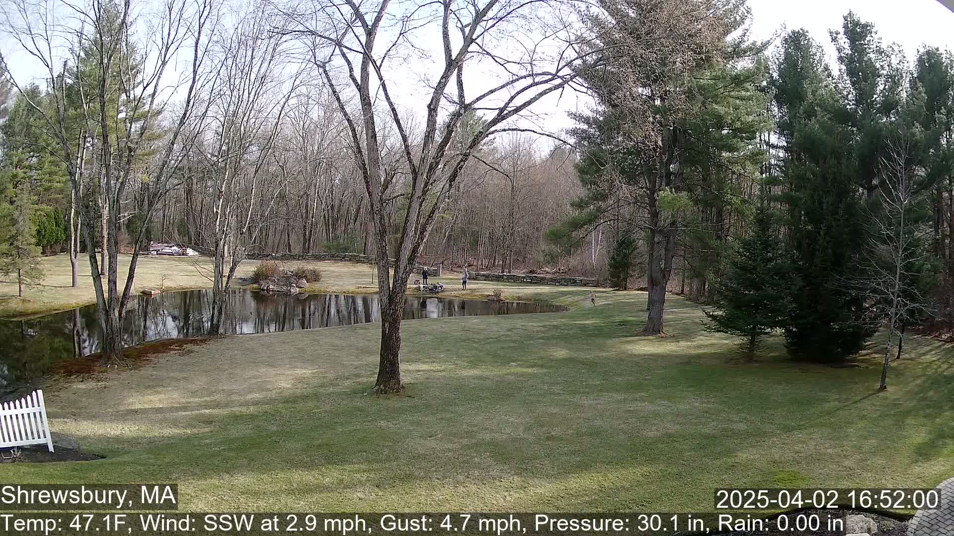 A tranquil pond sits in a grassy yard surrounded by bare and evergreen trees on a partly sunny day with a light south-southwesterly wind.