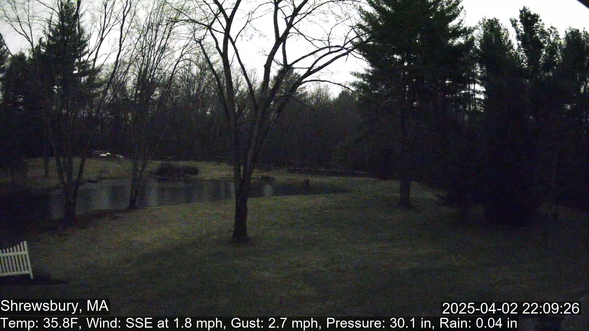 A dark, rainy scene shows a pond surrounded by bare trees and a grassy area under a gray sky.