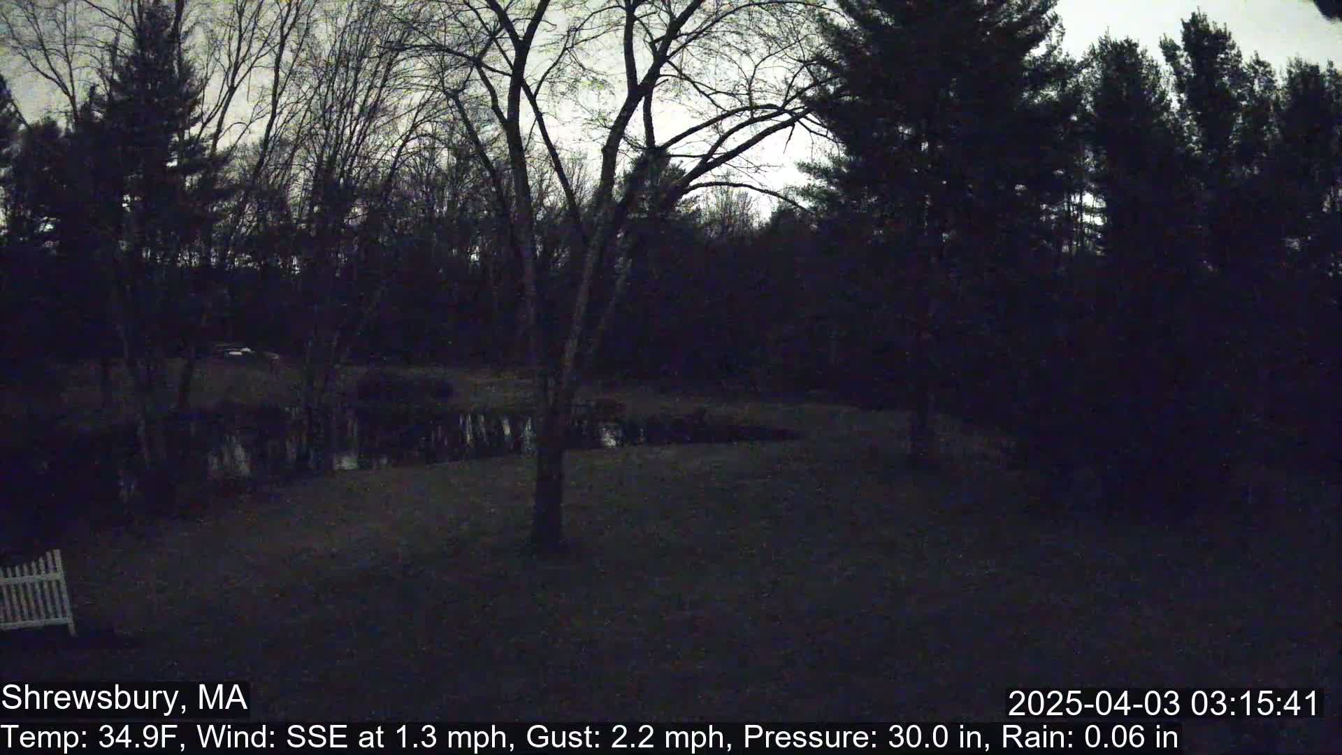 A nighttime view of a dark lawn and trees under a light gray sky with light rain.