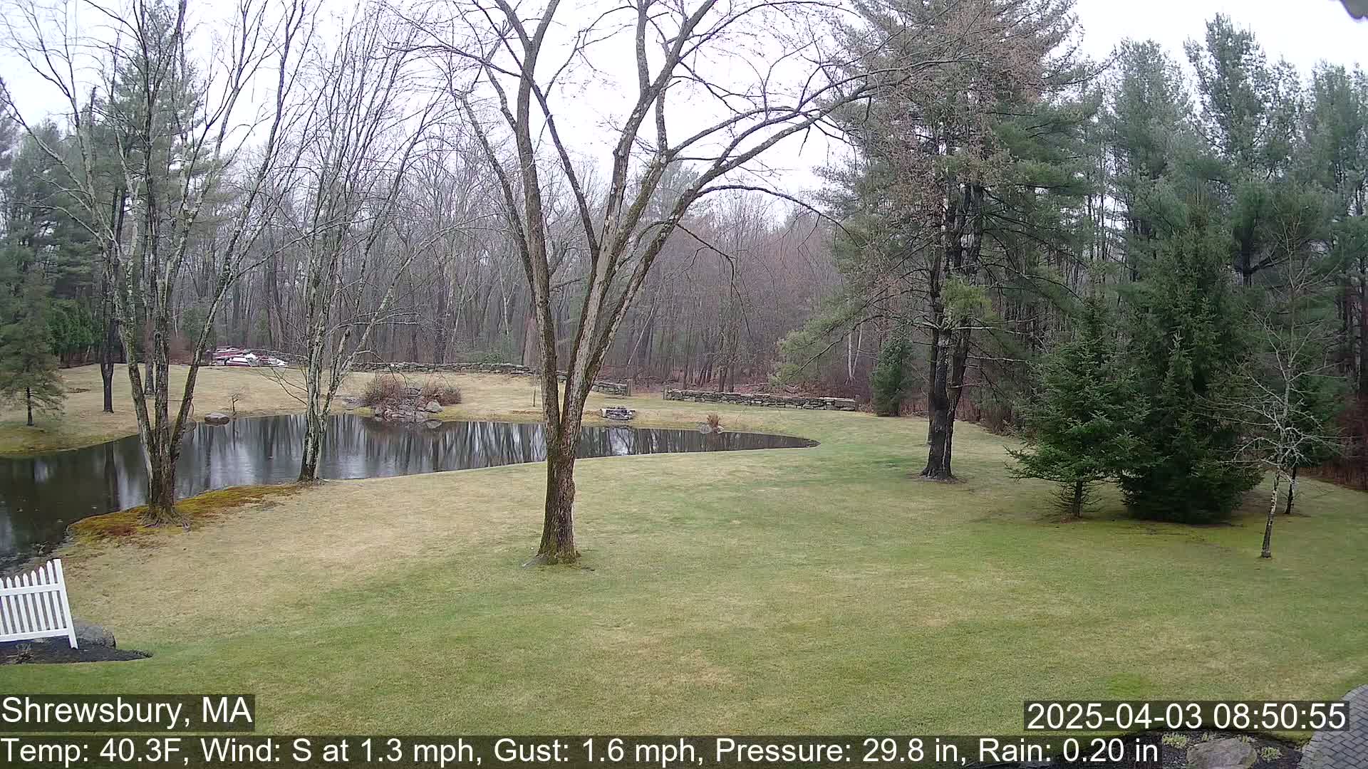 A rain-swept lawn leads to a pond reflecting leafless trees under a gray sky.