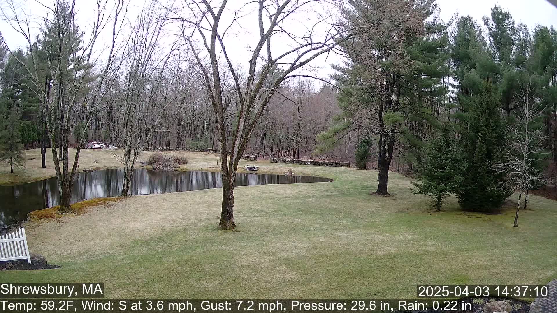 A tranquil pond surrounded by a grassy lawn and leafless trees under an overcast sky with light rain.