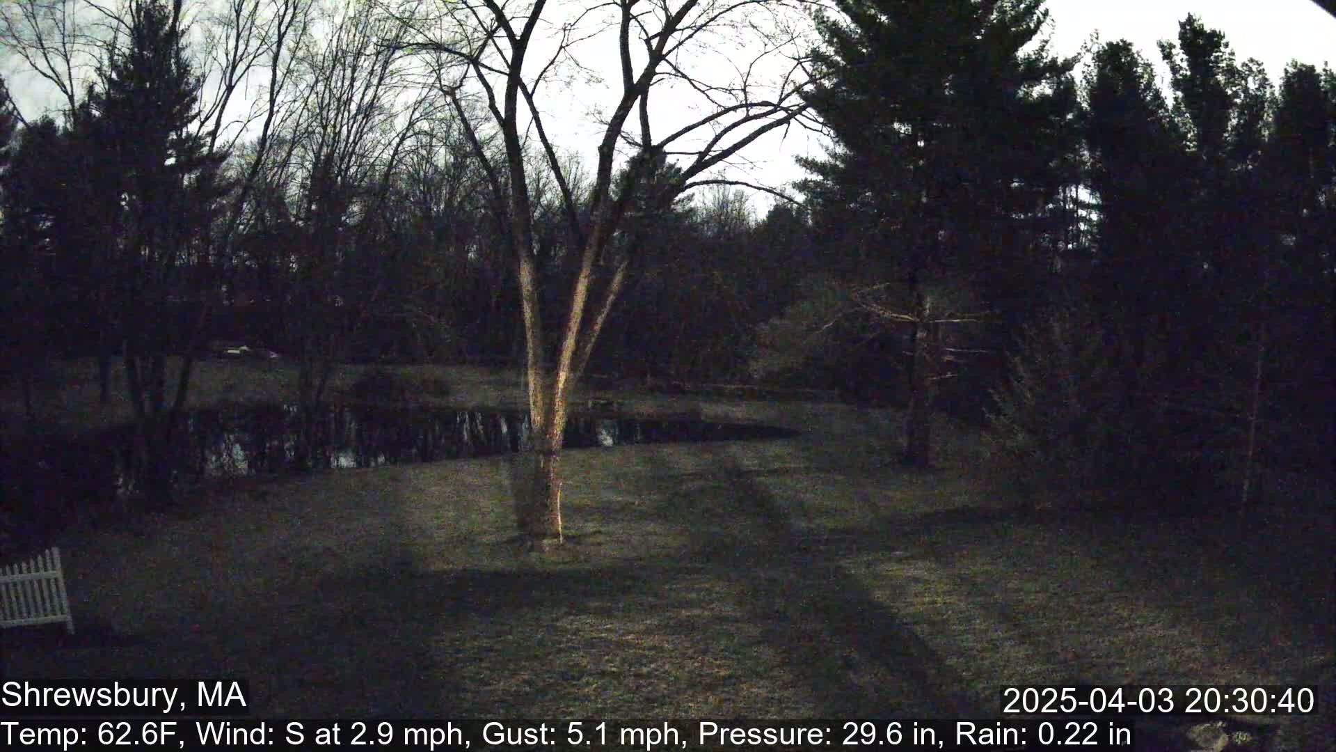 A nighttime view of a backyard with a pond, trees, and a grassy area under a dark, overcast sky with light rain.