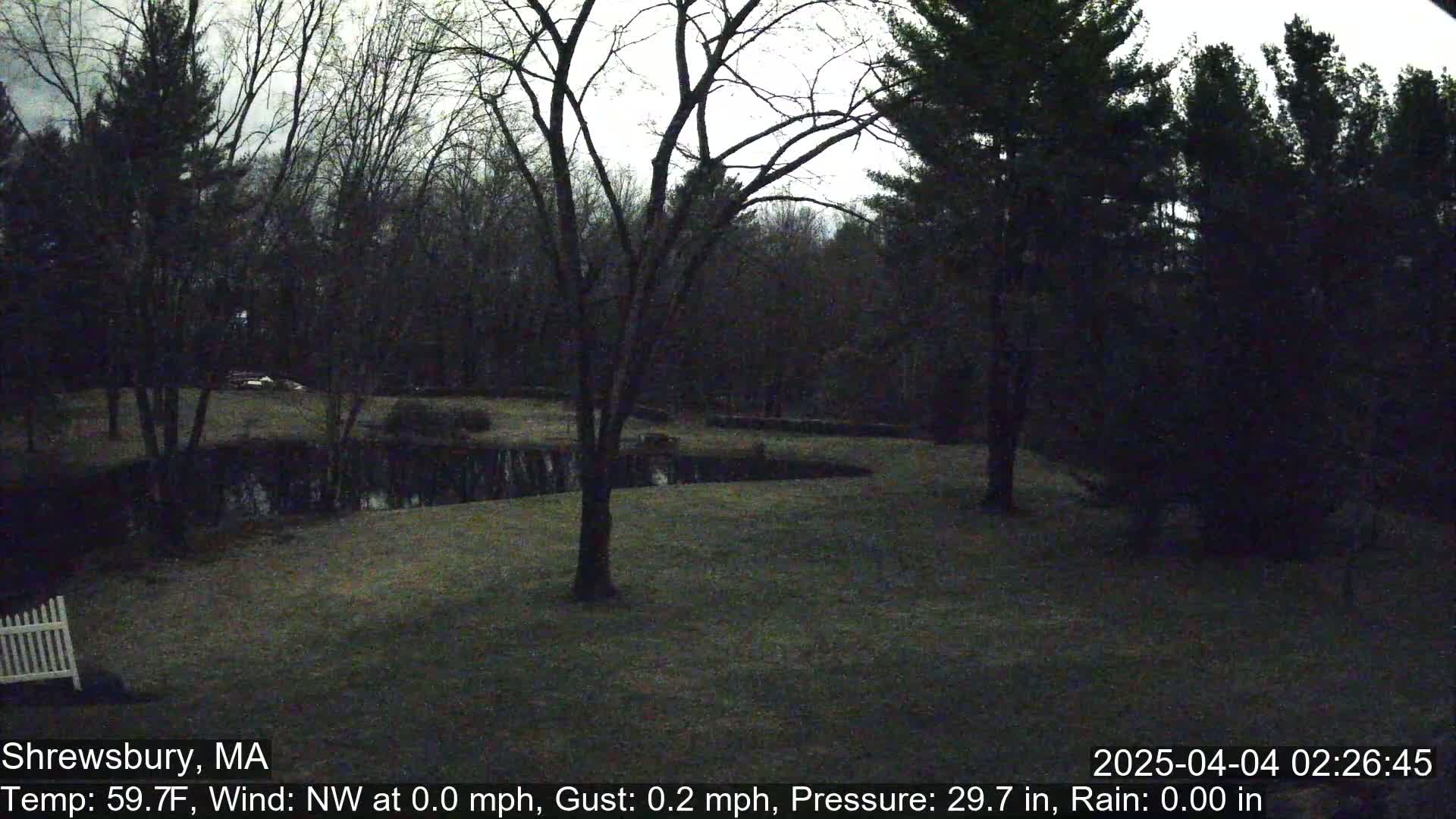 A dark, nighttime view of a grassy yard with a pond and bare trees under a cloudy sky.