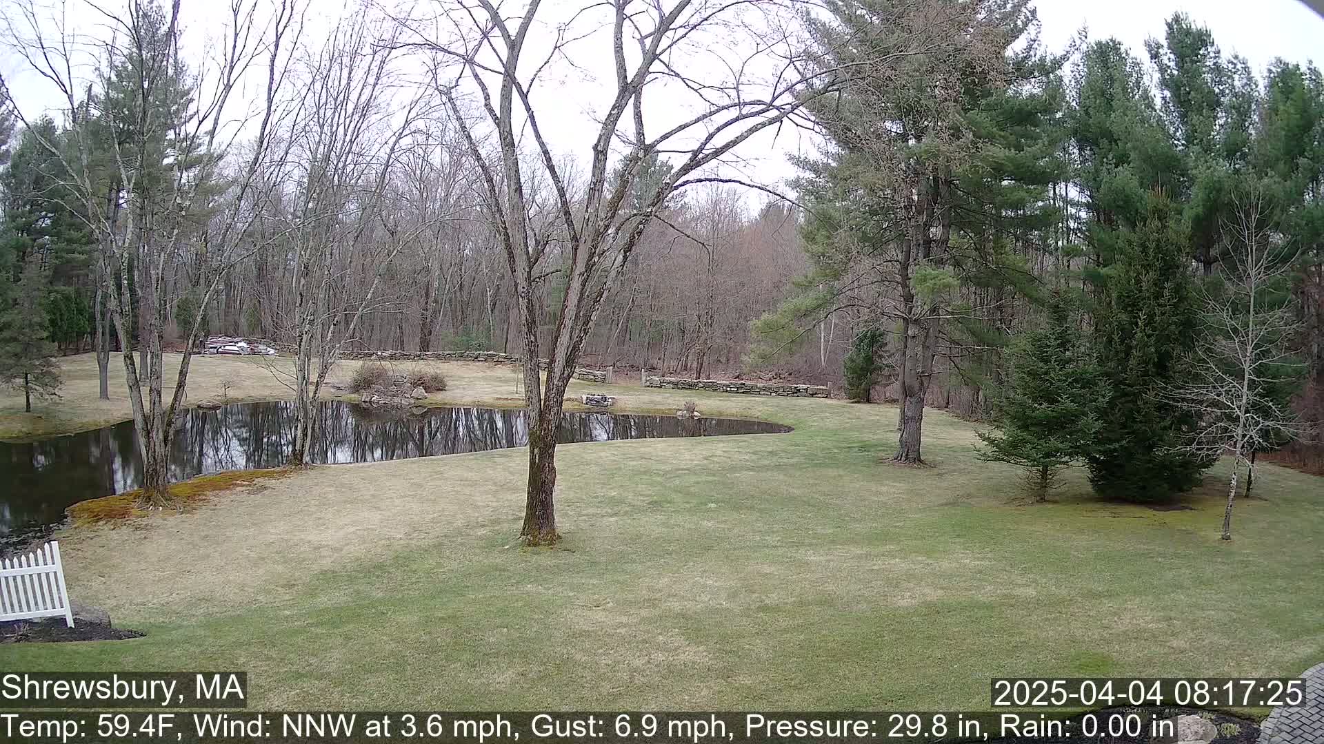 A mostly bare, deciduous tree stands near a calm pond in a grassy yard bordered by a stone wall and a woodland of evergreens and leafless trees under a cloudy sky.