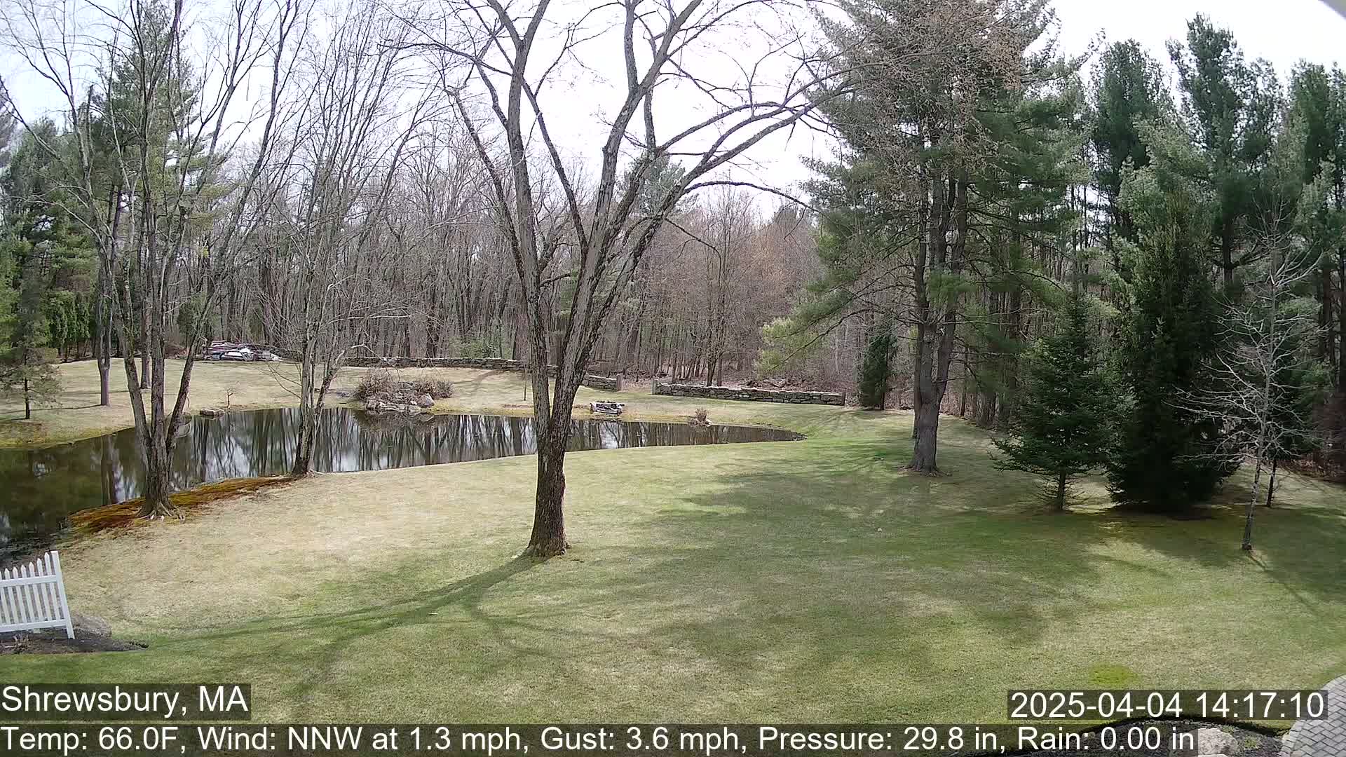 A tranquil pond surrounded by a grassy lawn and deciduous and evergreen trees on a sunny day with a light north-northwest wind.