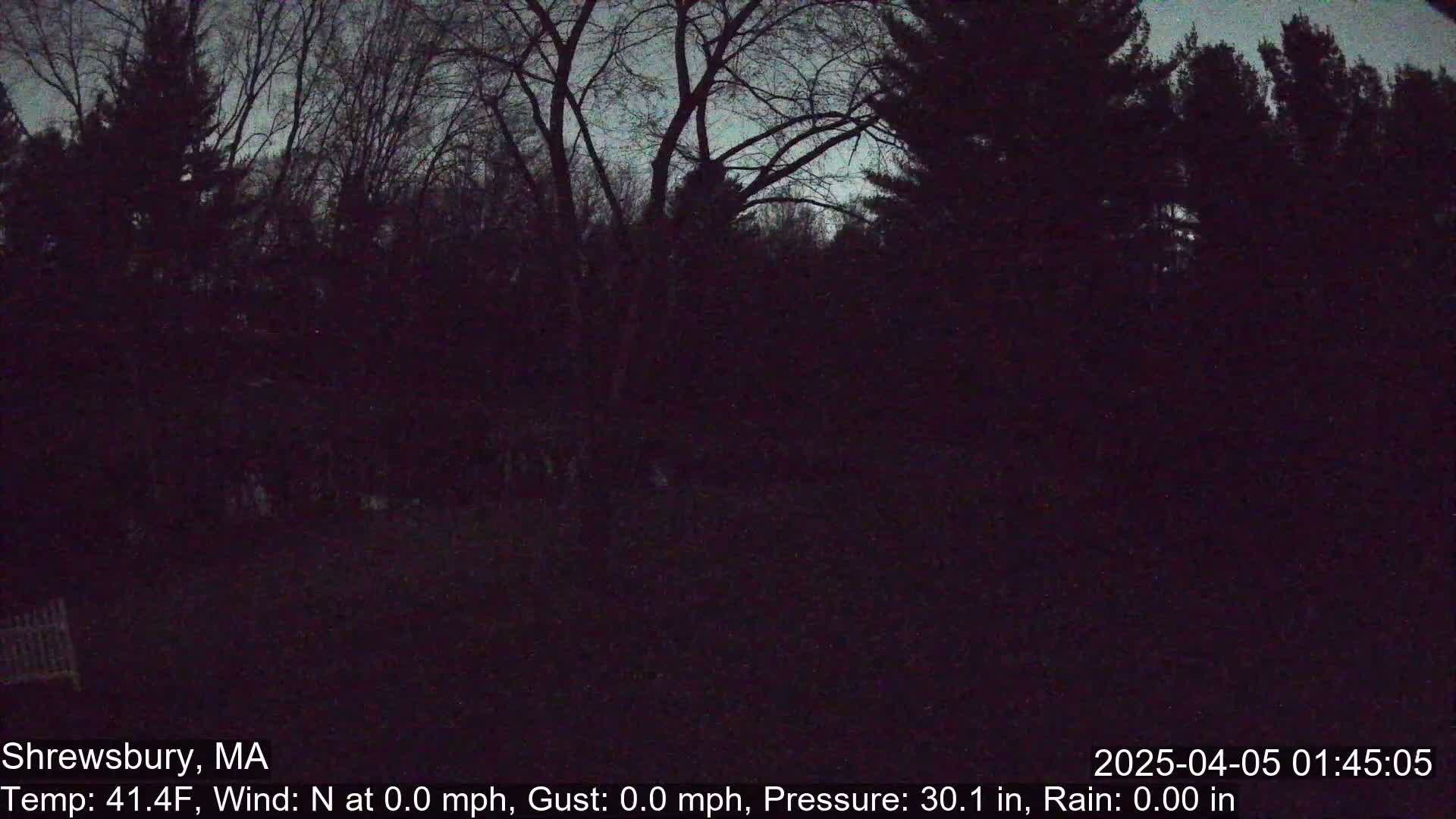 A dark, nighttime view of a wooded area under a twilight sky.