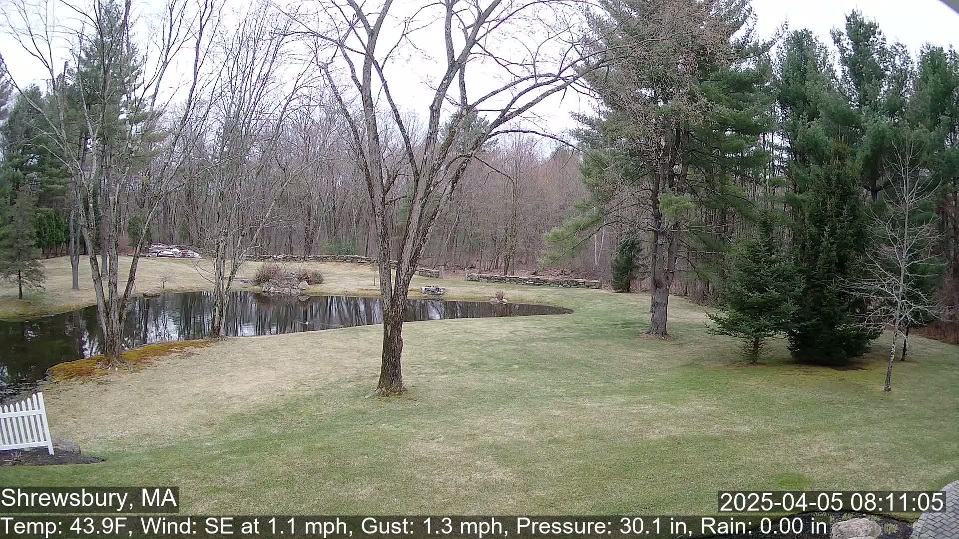 A mostly calm, overcast day reveals a tranquil pond surrounded by a grassy lawn and leafless trees, situated within a wooded area.