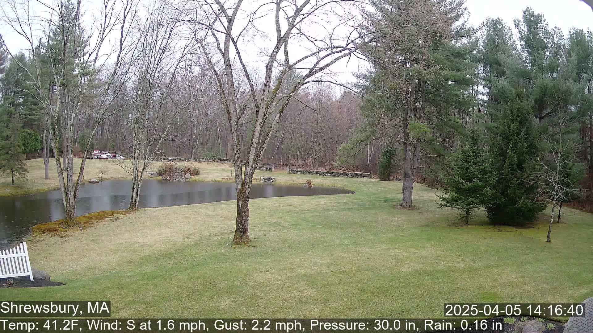 A grassy yard with a pond and bare trees in the background during light rain.