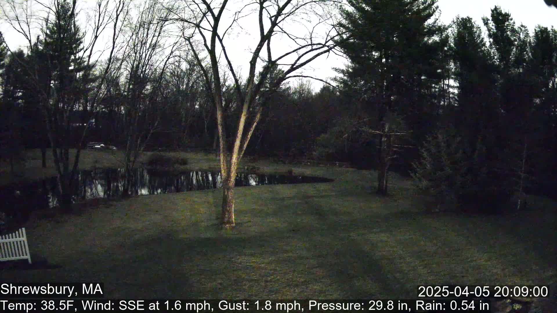 A nighttime view of a grassy yard with a pond and bare trees under a cloudy sky, with light rain.