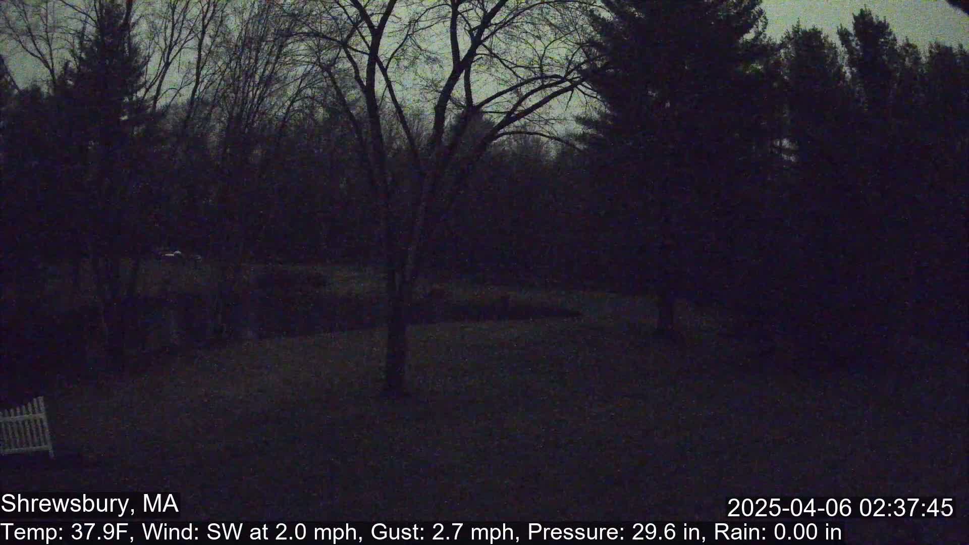 A dark, nighttime scene shows bare trees and a grassy yard under a cloudy sky with a southwest wind.