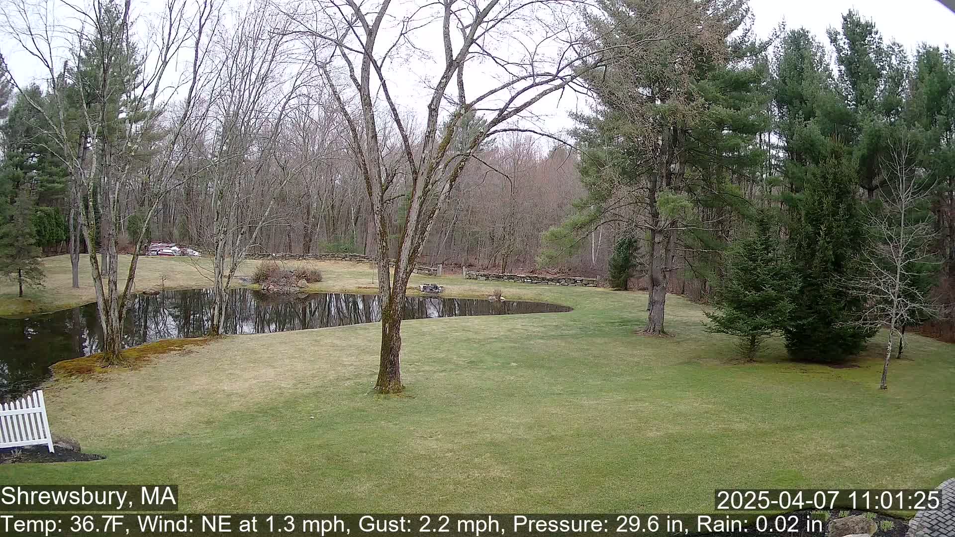 A tranquil lawn with a small pond, surrounded by bare deciduous trees and evergreens, under an overcast sky with light rain.