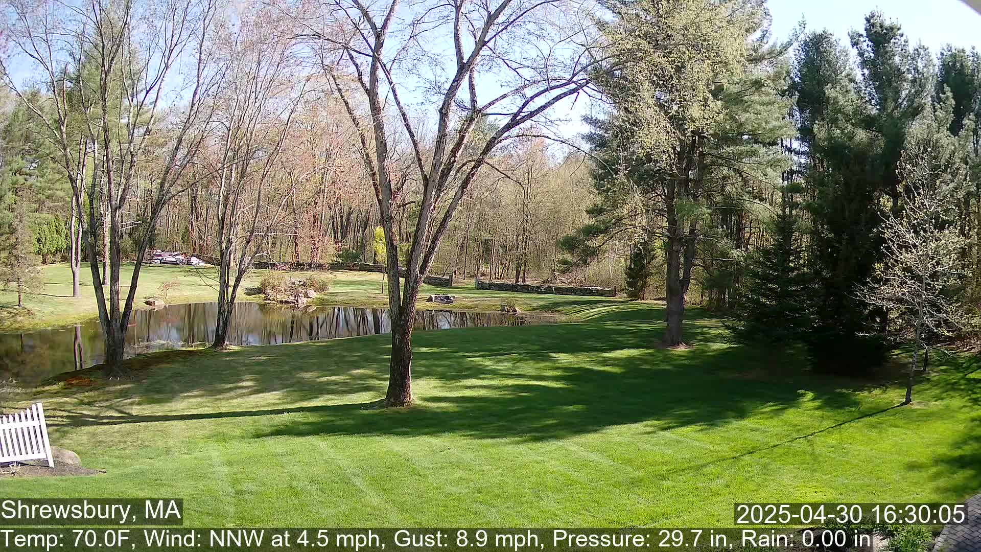 A grassy yard with a pond and several trees is bathed in sunlight on a partly sunny day with a light north-northwest wind.