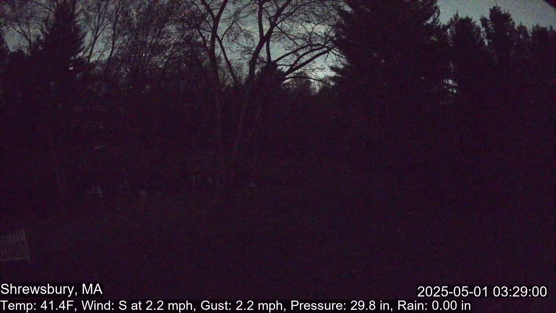 A dark, nighttime view of trees under a mostly clear sky, with a slight south wind.