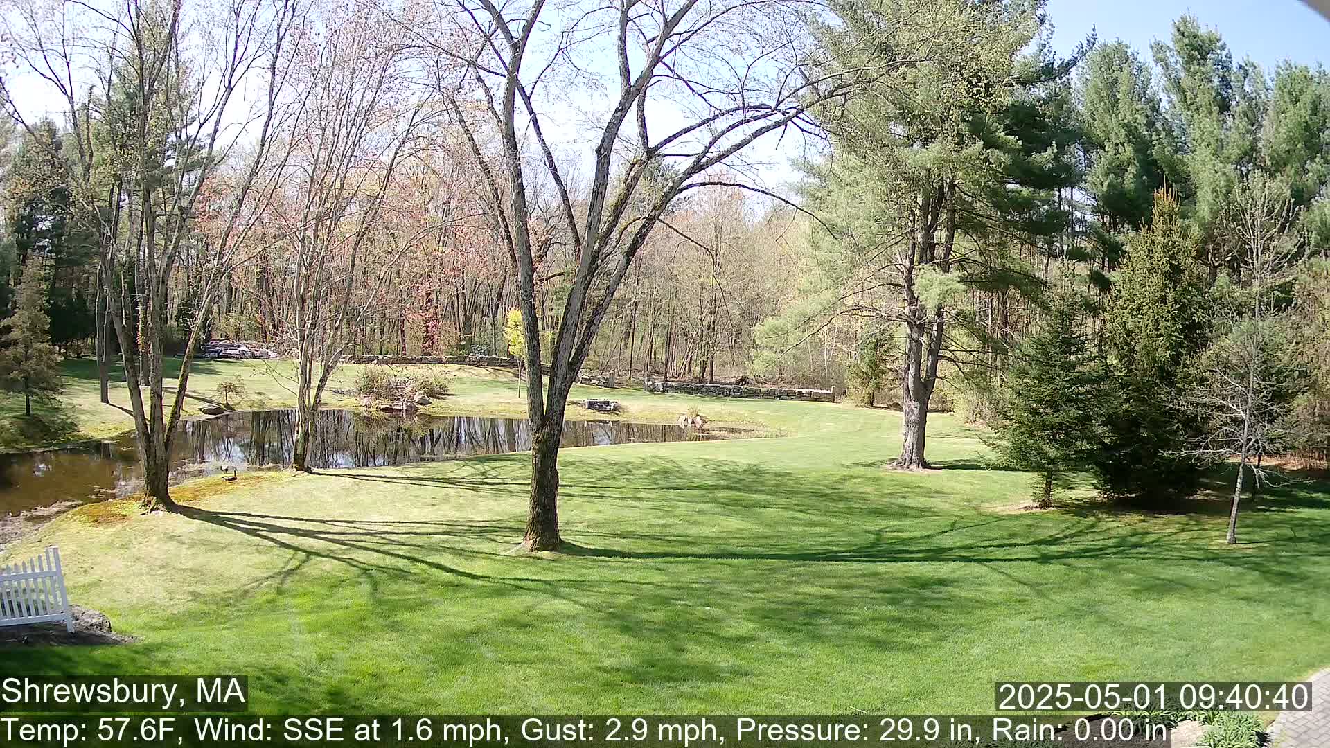 A sunny, slightly breezy day shows a grassy lawn, a pond reflecting the trees, and a backdrop of budding deciduous and evergreen trees.