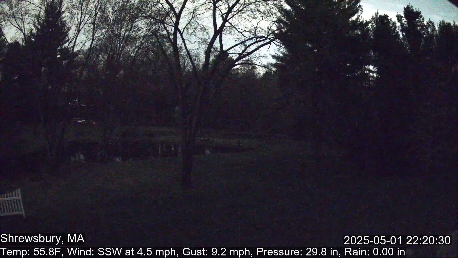 A dark, nighttime view of a wooded area with a few trees silhouetted against a mostly cloudy sky.