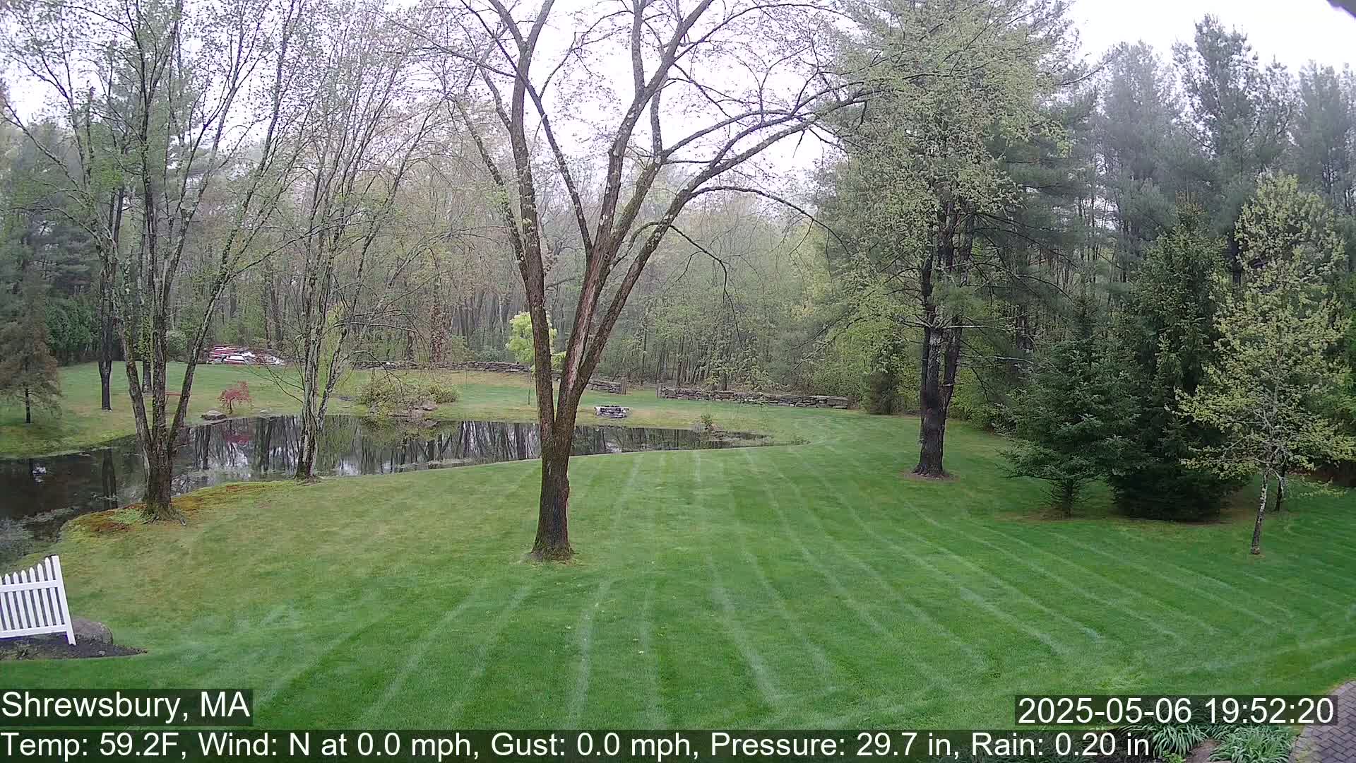 A neatly mown lawn stretches to a small pond surrounded by trees under a lightly overcast sky, with light rain falling.