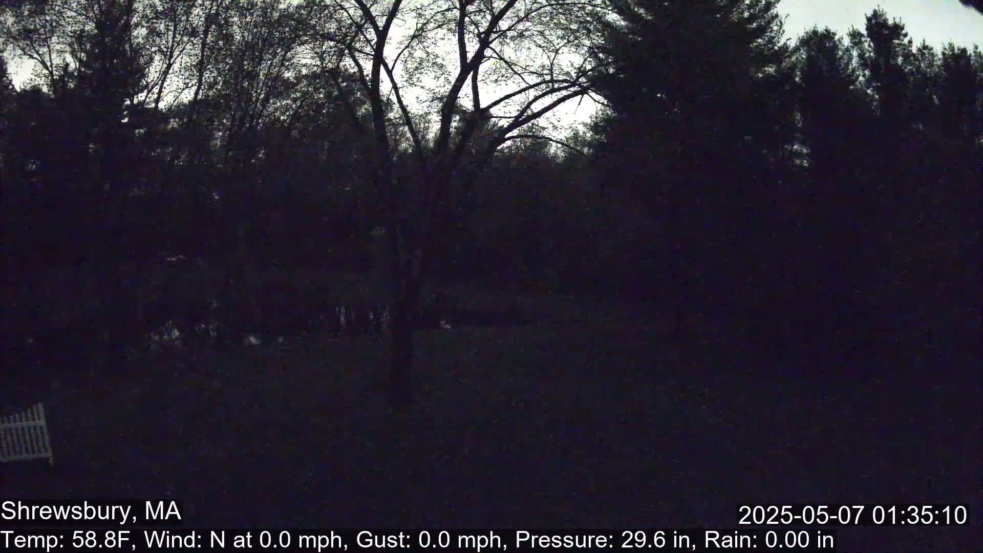 A dark, nighttime view of trees and a yard, under a mostly clear sky.