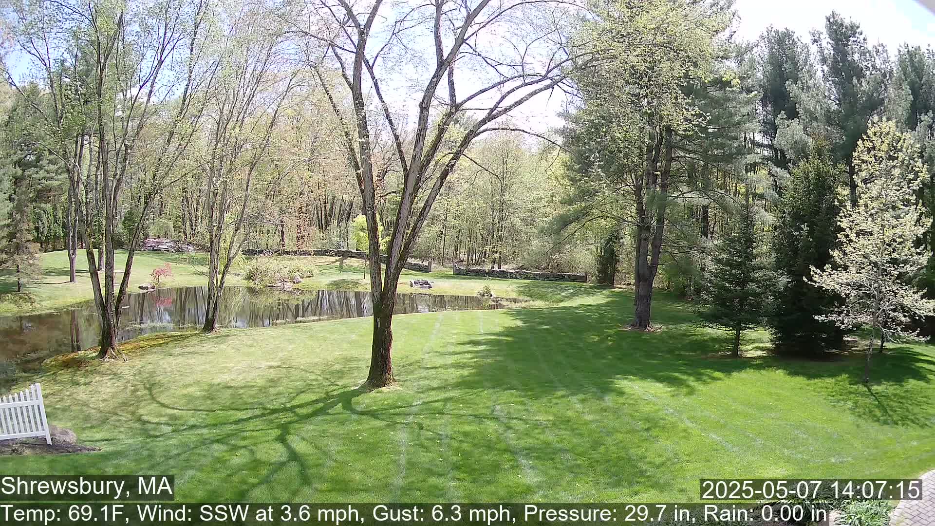 A sunny view of a lush green lawn, a calm pond, and a wooded area with deciduous and coniferous trees.
