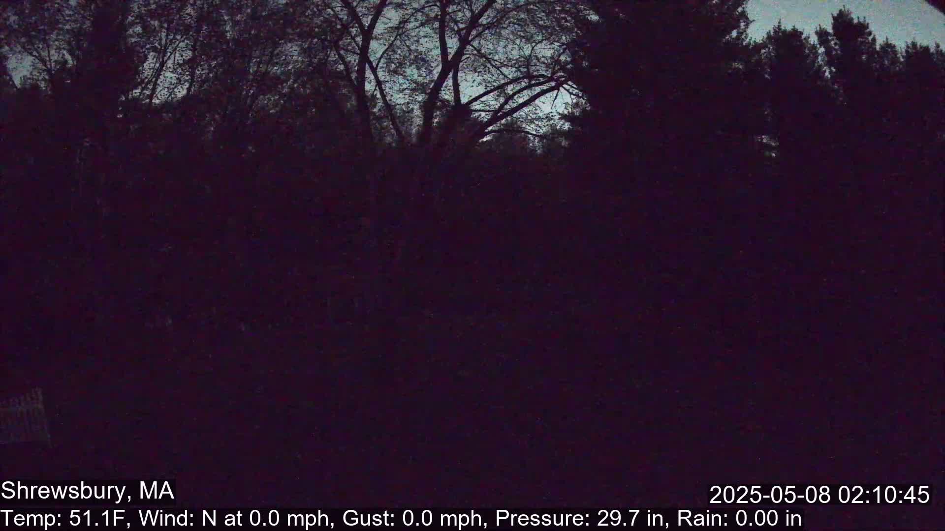 A nighttime view of dark trees under a twilight sky with calm weather conditions.
