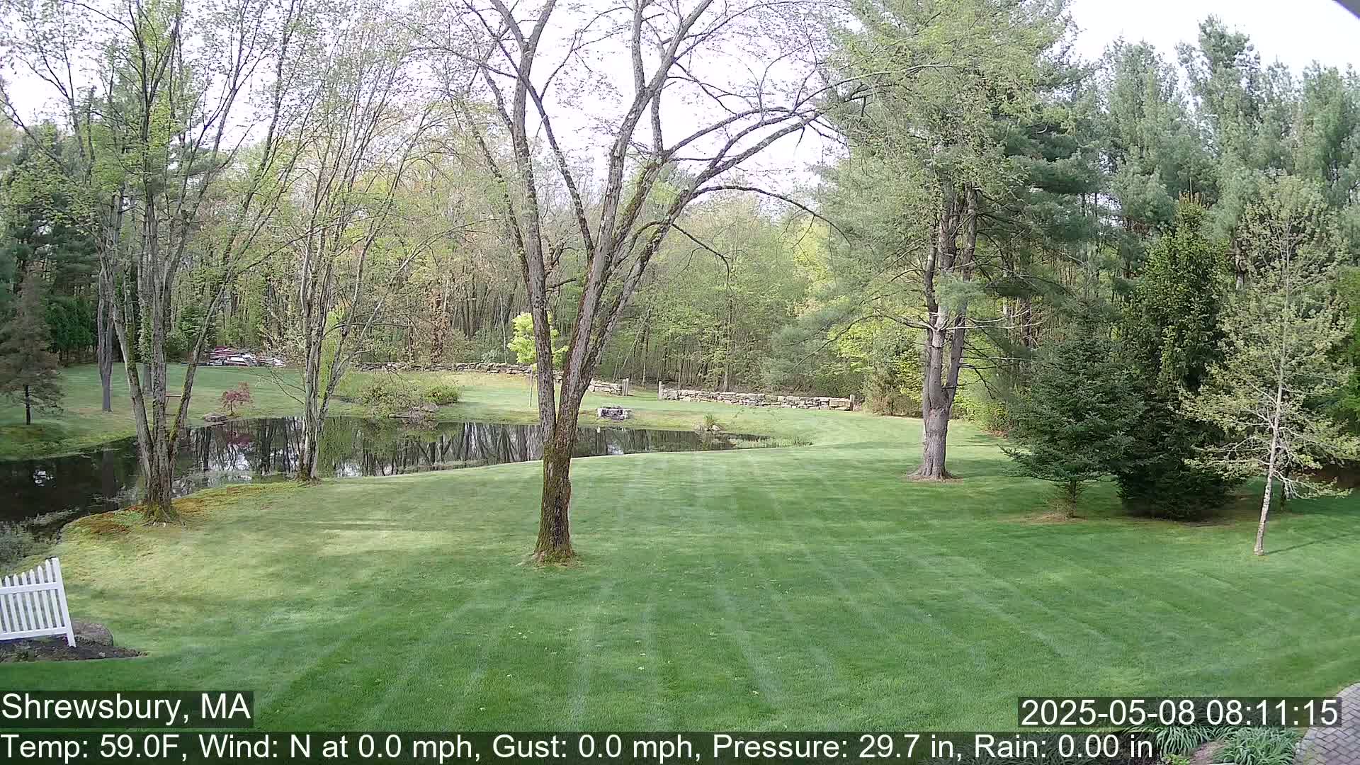 A calm, grassy lawn with a pond and trees in the background on a partly sunny day.