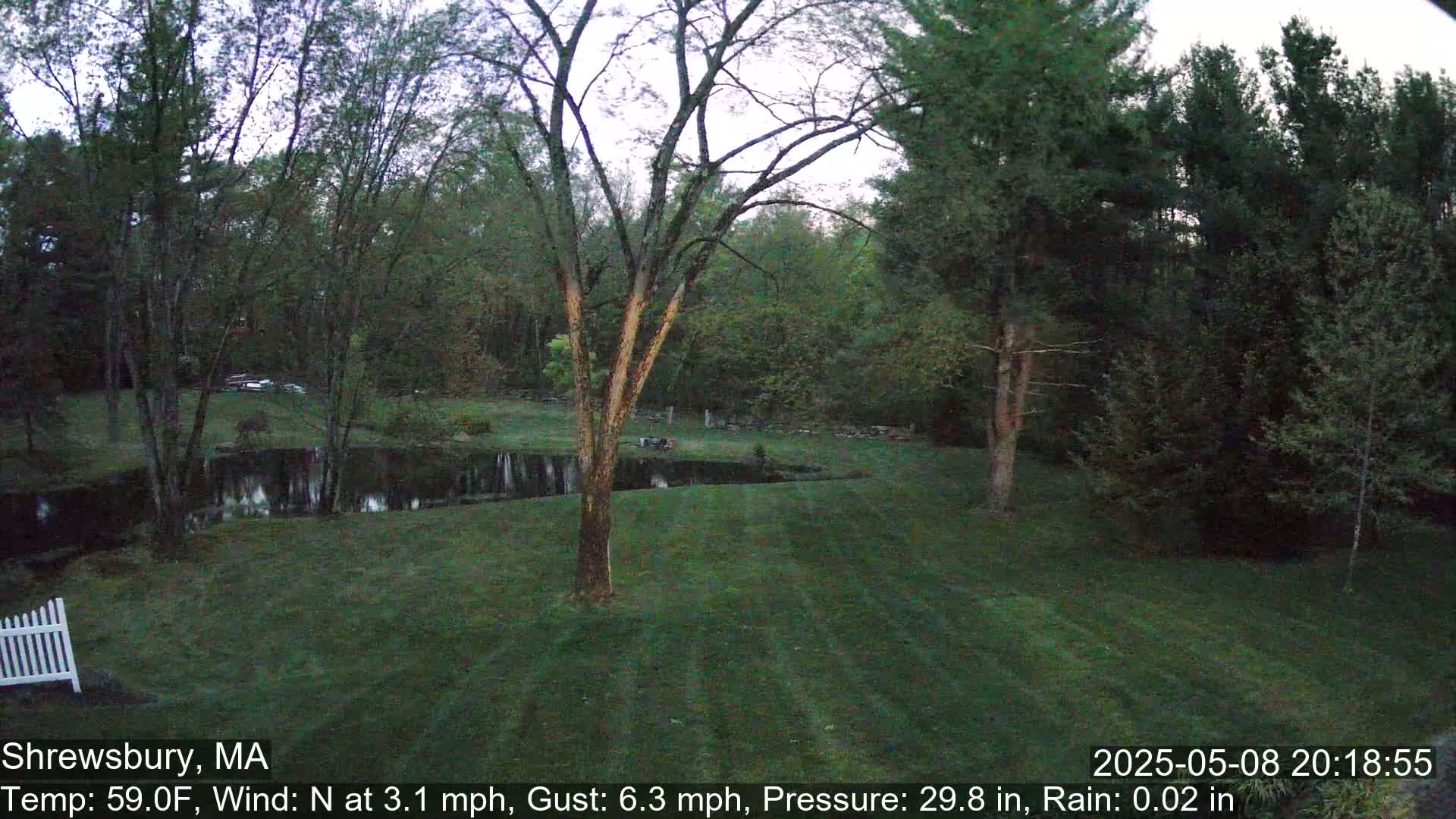 A grassy lawn stretches towards a small pond, bordered by trees under a twilight sky with light rain.
