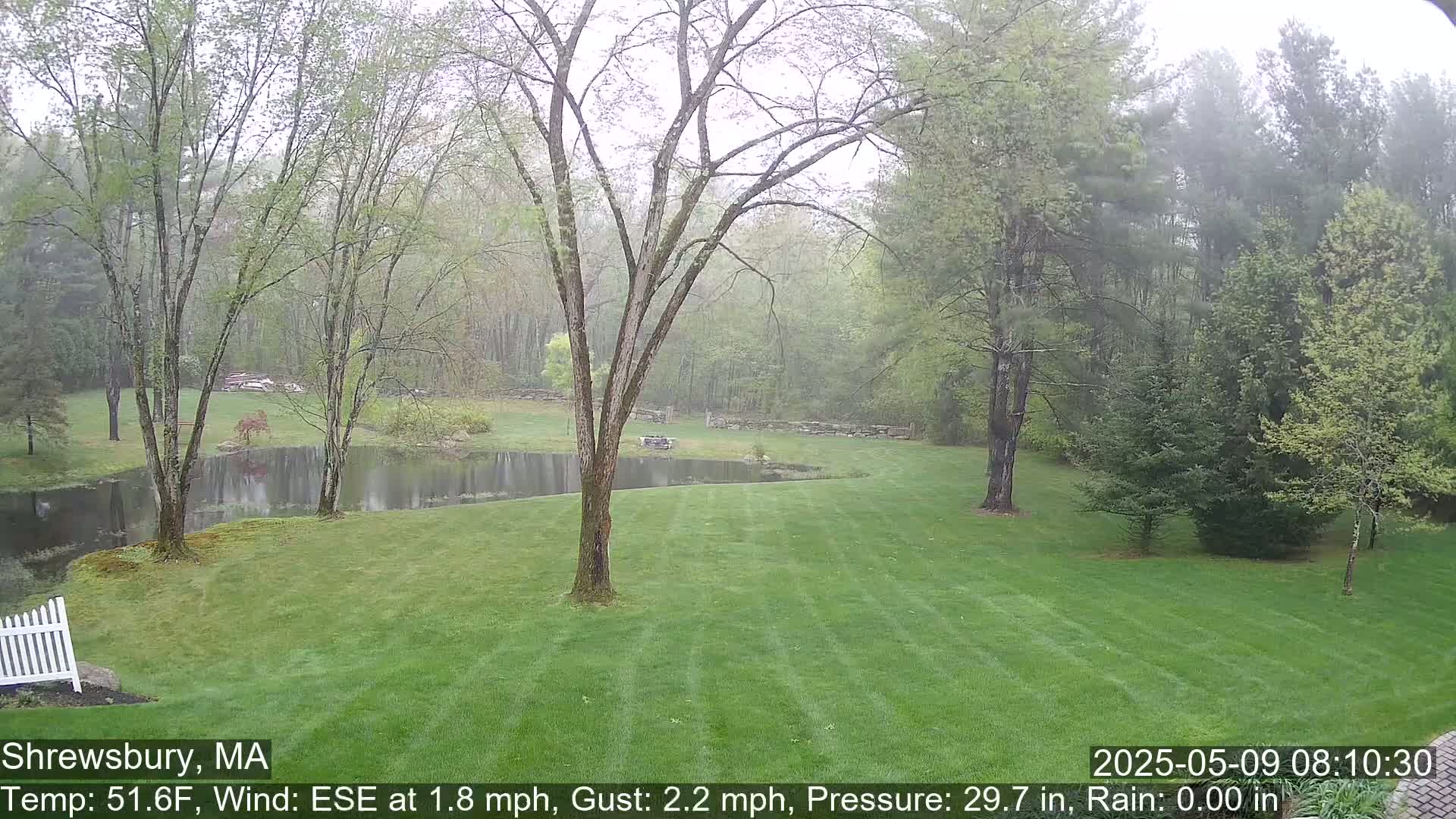 A grassy lawn stretches out to a pond surrounded by trees in misty weather.