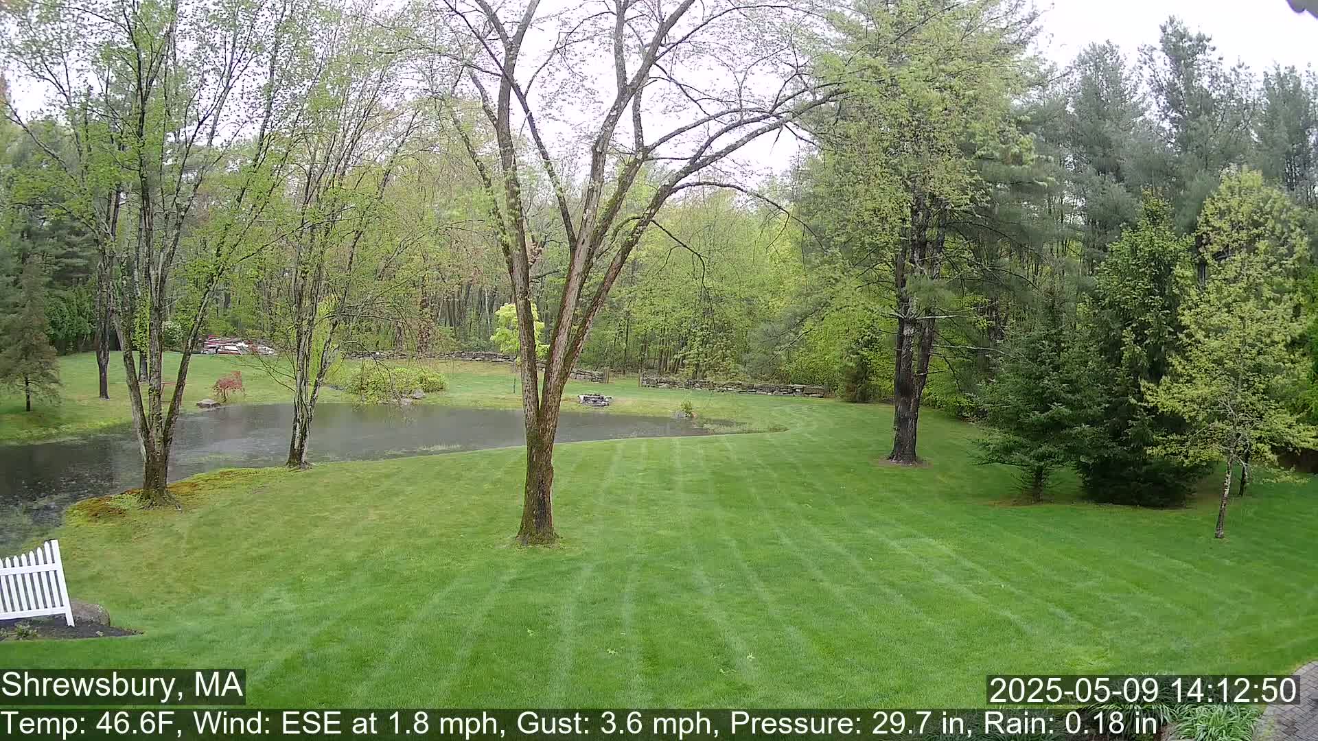 A rain-soaked lawn slopes gently down to an overflowing pond surrounded by lush green trees.