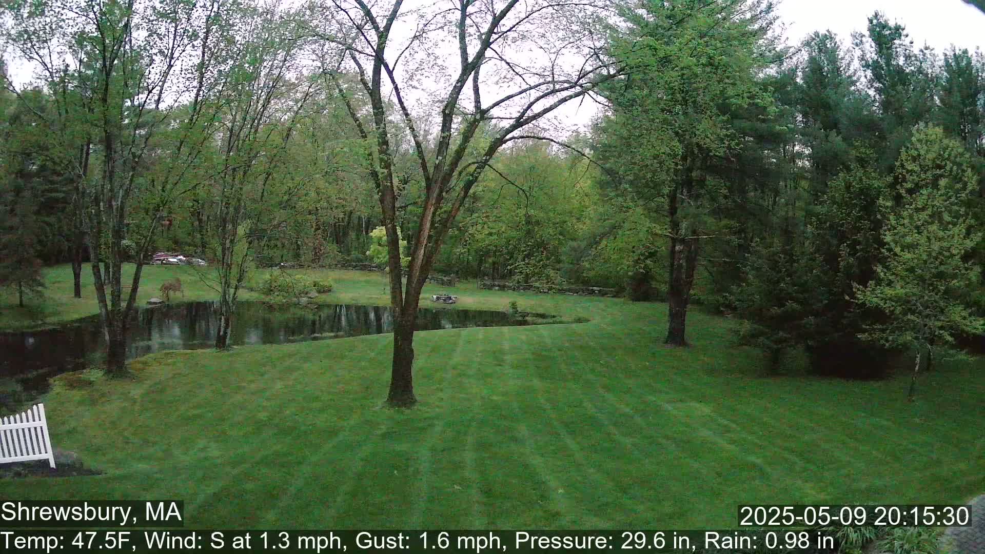 A rain-dampened lawn slopes down to a small pond surrounded by lush green trees under an overcast sky.