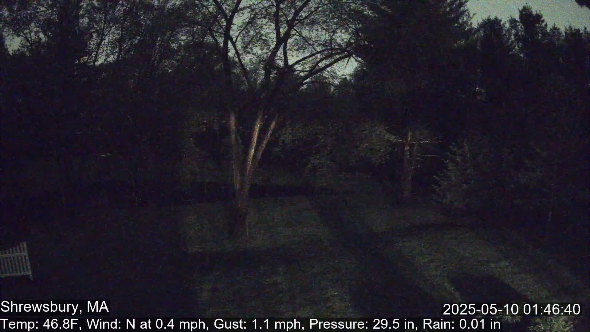 A nighttime, low-light view of a backyard with trees, a bit of lawn, and a small portion of a white fence, showing light rain.