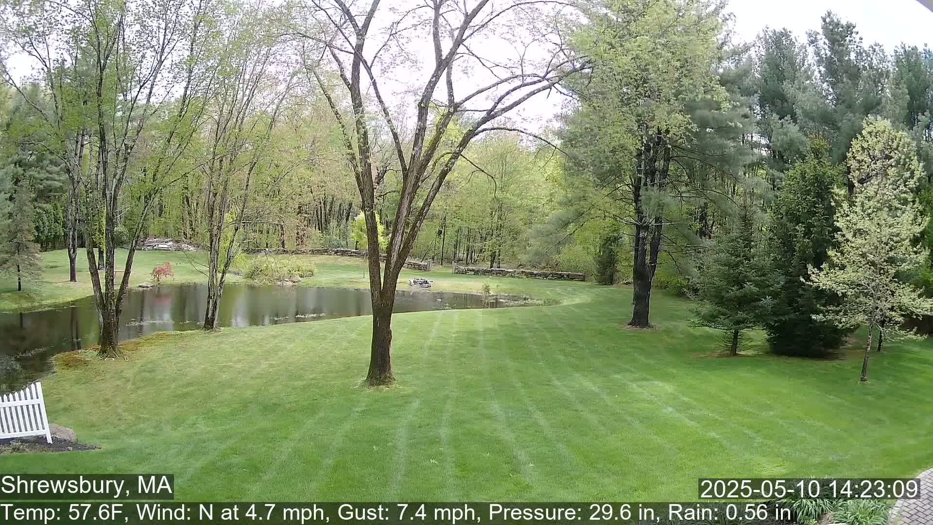 A verdant lawn stretches toward a calm pond nestled within a wooded area under a cloudy sky.