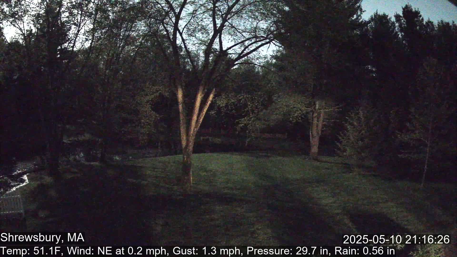 A nighttime view of a grassy area bordered by trees and a small stream, under a dark sky with light rain.