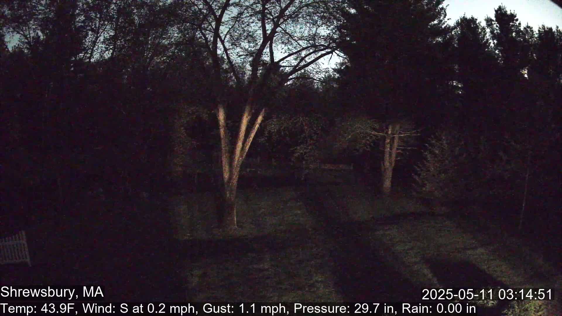 A dark, nighttime scene shows a yard surrounded by trees under a mostly clear sky.