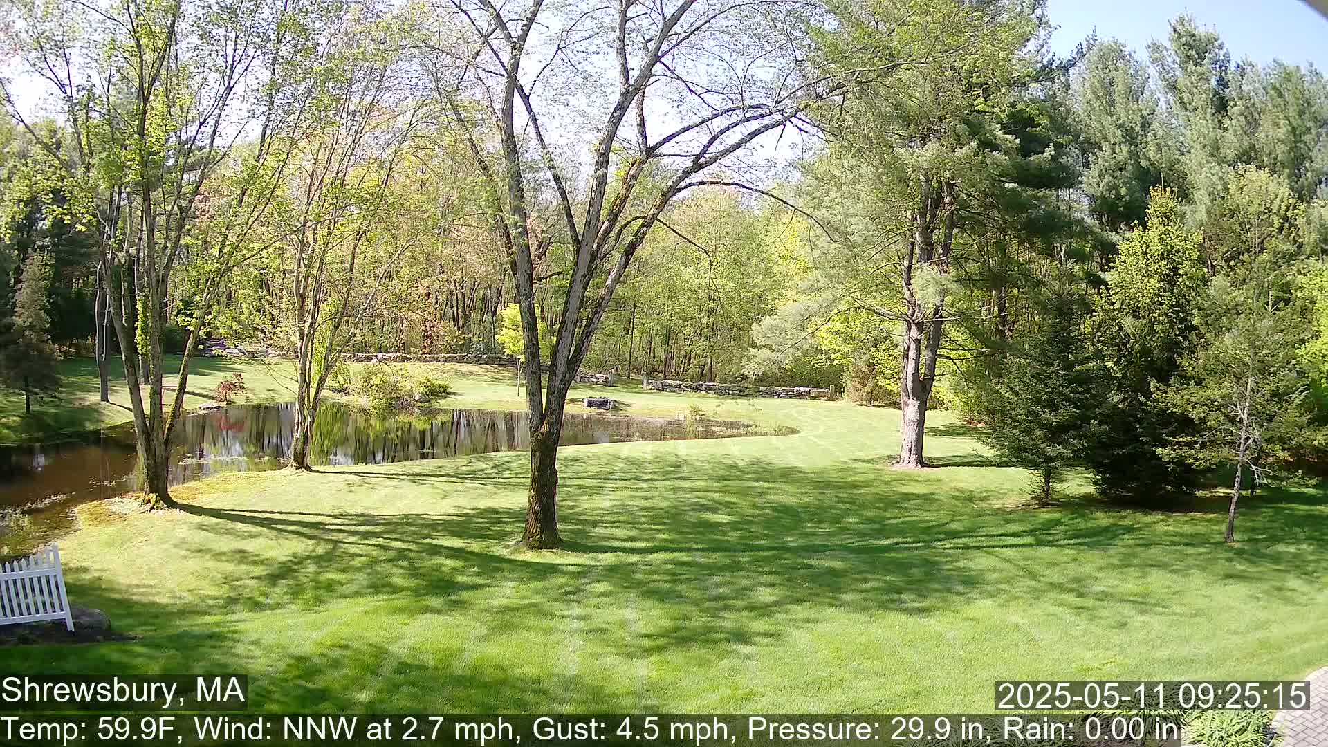 A sunny, green lawn with a pond, several deciduous trees, and a stone wall borders a wooded area in the background.