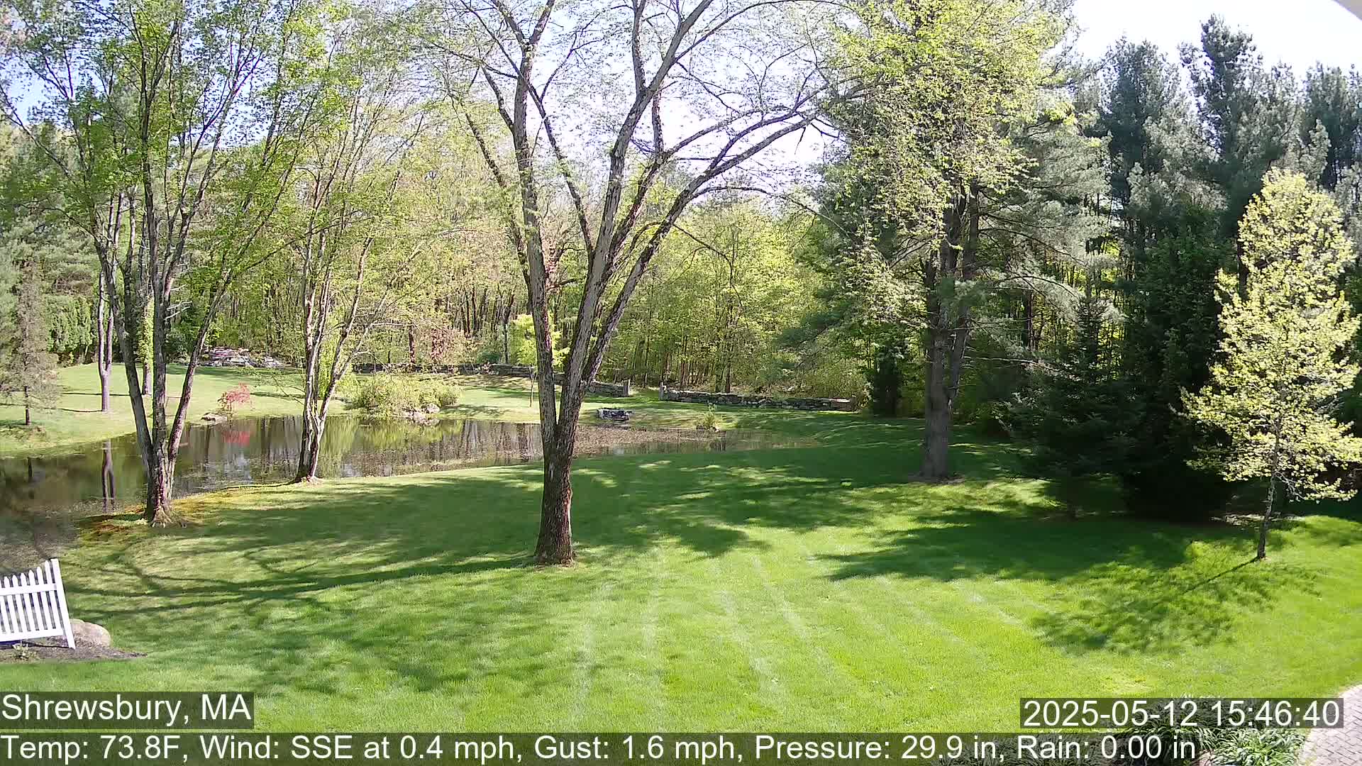 A sunny day reveals a lush green lawn, a calm pond, and a backdrop of deciduous trees.