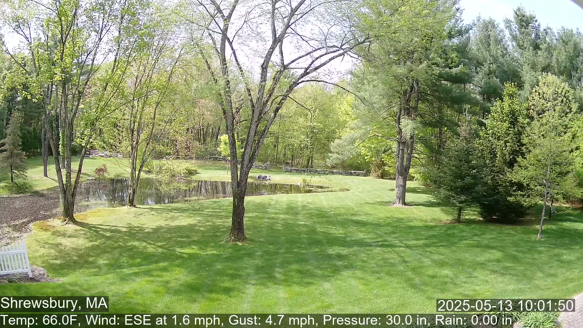 A sunny view of a green lawn, a pond, and deciduous trees bordering a wooded area.