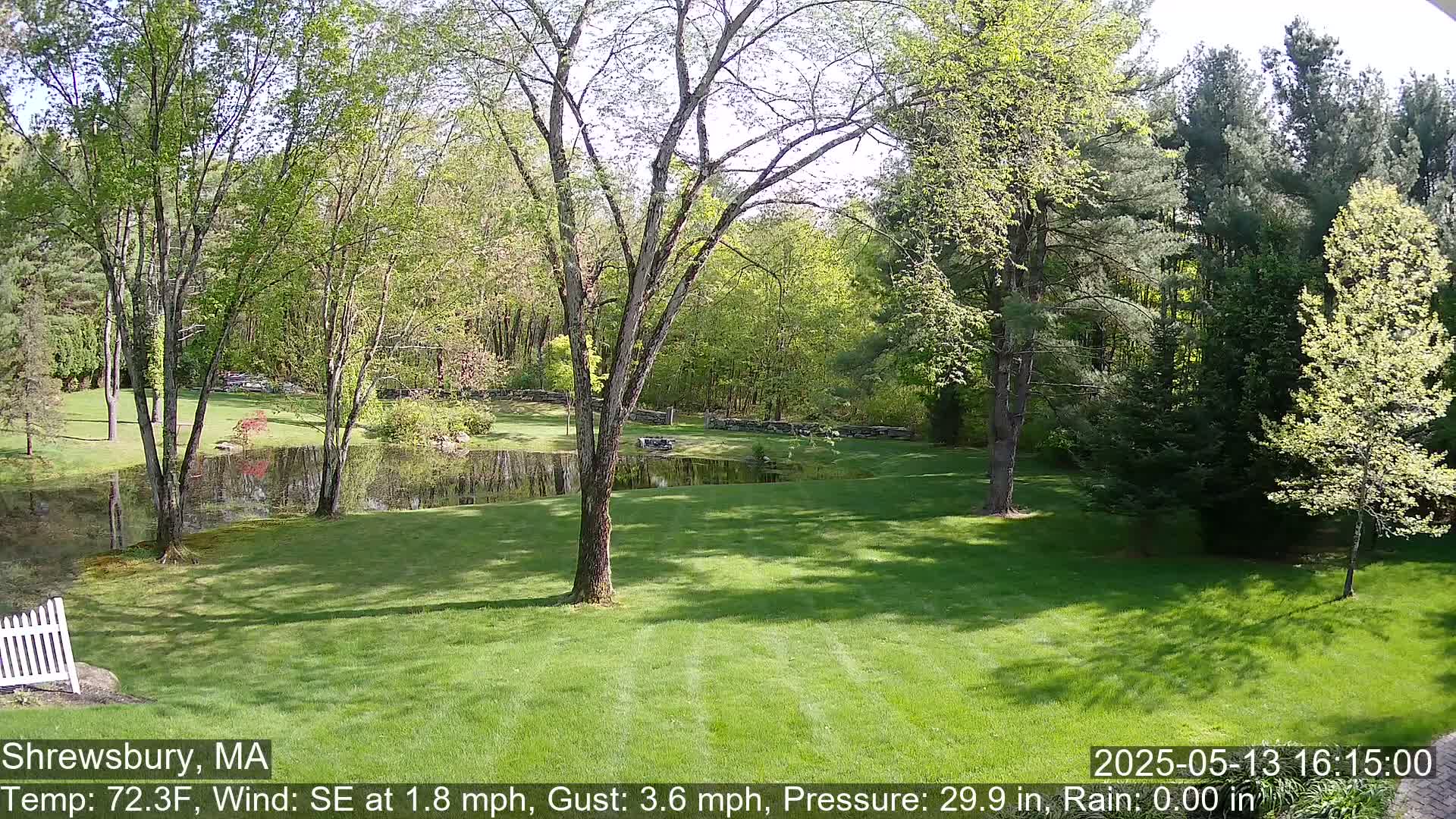 Scenic Pond and Trees Live Cam - Shrewsbury, Massachusetts , USA