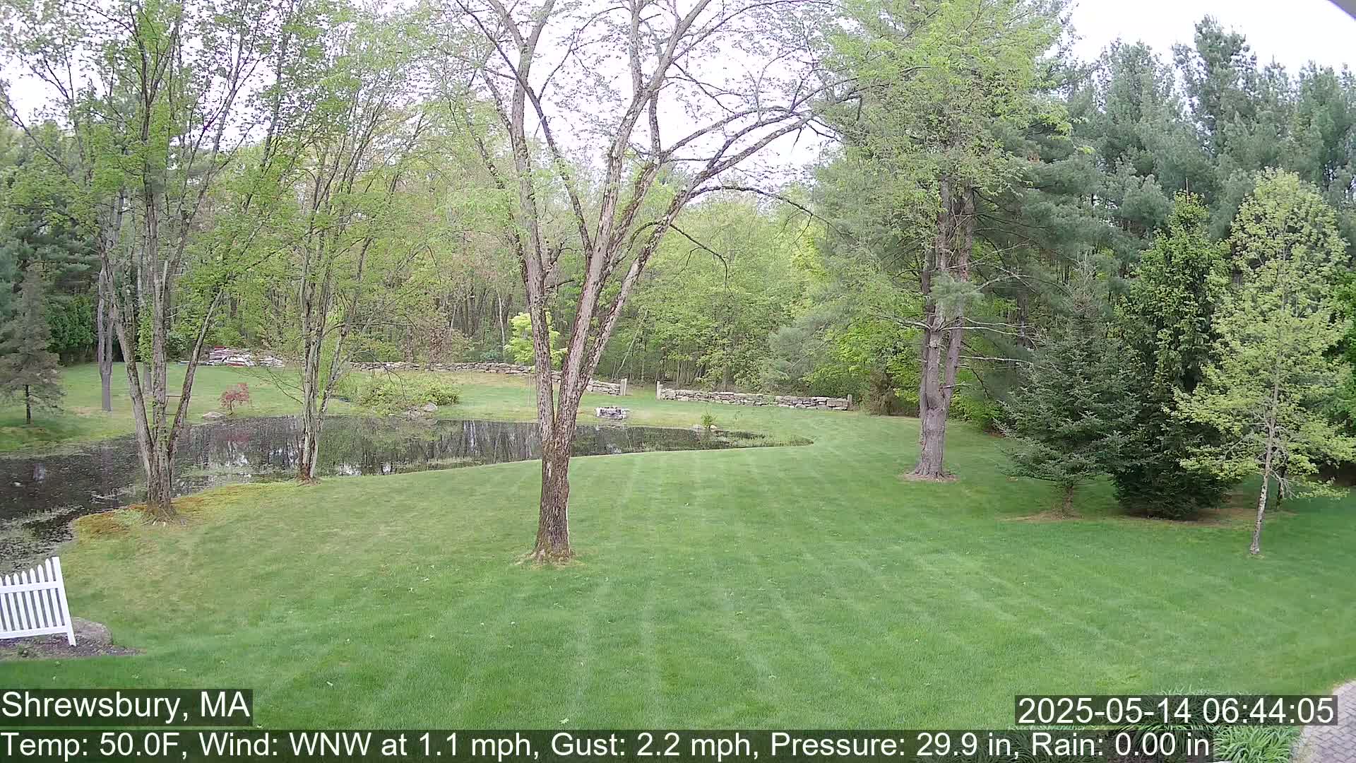 A grassy backyard with a pond, stone wall, and deciduous trees under a cloudy sky.