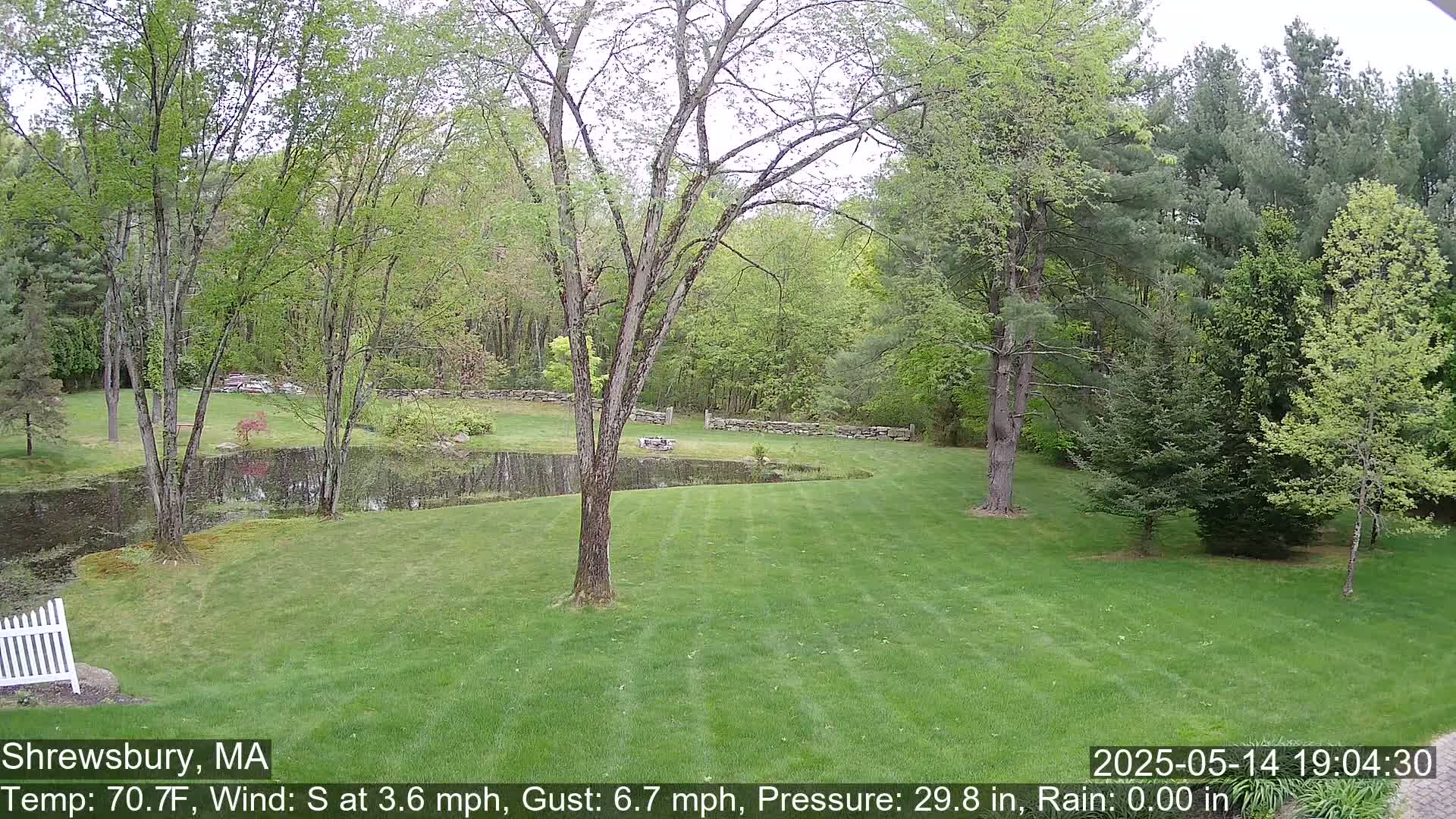 Scenic Pond and Trees Live Cam - Shrewsbury, Massachusetts , USA
