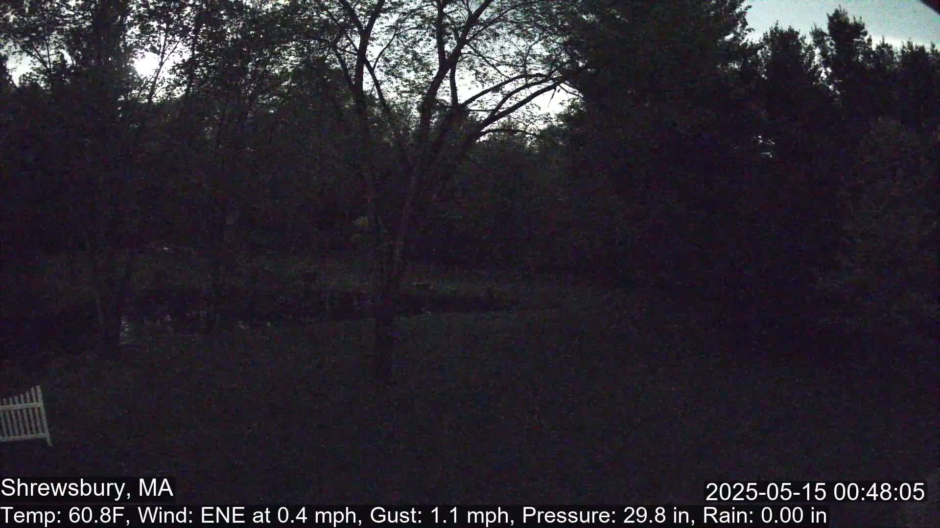 Scenic Pond and Trees Live Cam - Shrewsbury, Massachusetts , USA