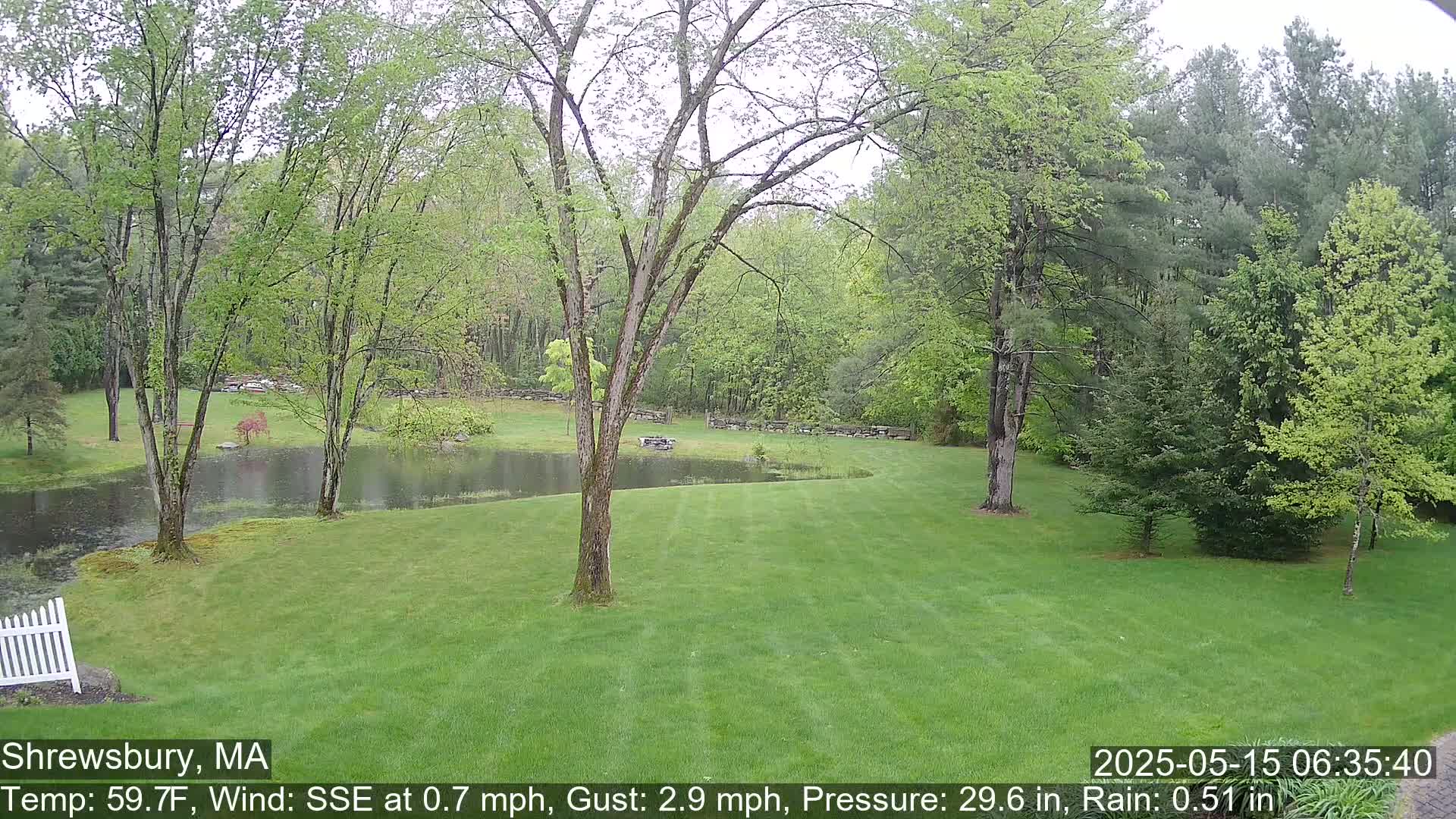 A rain-soaked lawn stretches out before a pond surrounded by lush green trees under a cloudy sky.