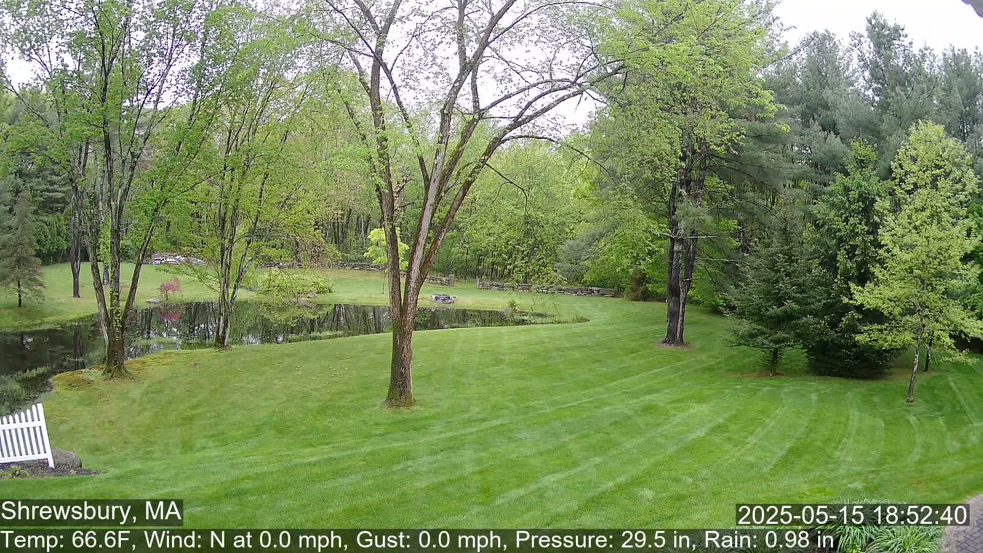 A verdant lawn slopes gently down toward a small pond surrounded by lush green trees in rainy weather.