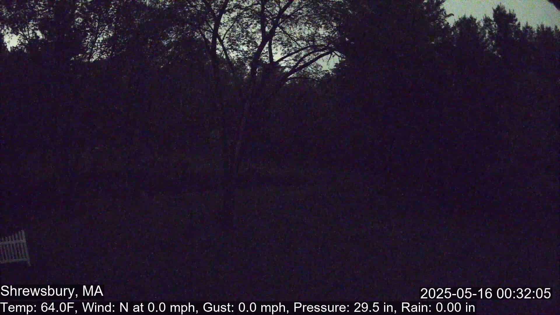Scenic Pond and Trees Live Cam - Shrewsbury, Massachusetts , USA