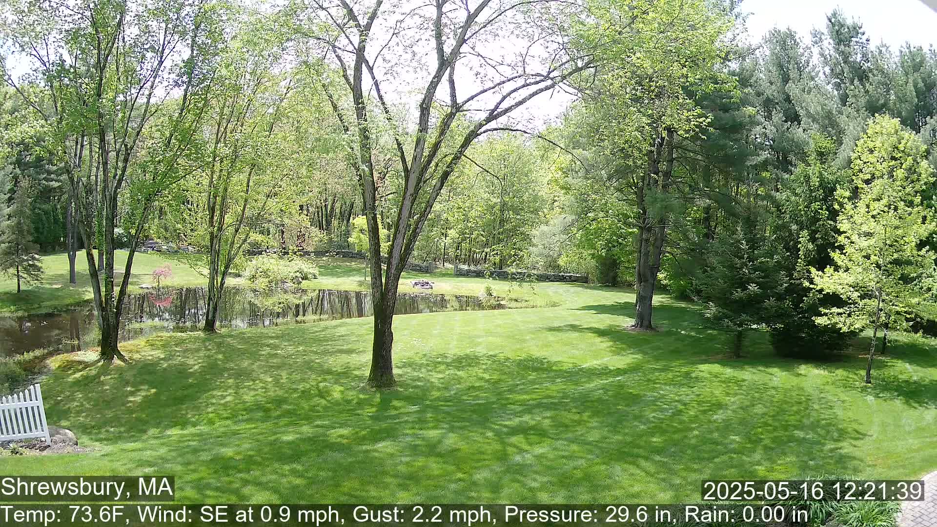 A sunny view of a green lawn, pond, and lush trees on a slightly breezy day.
